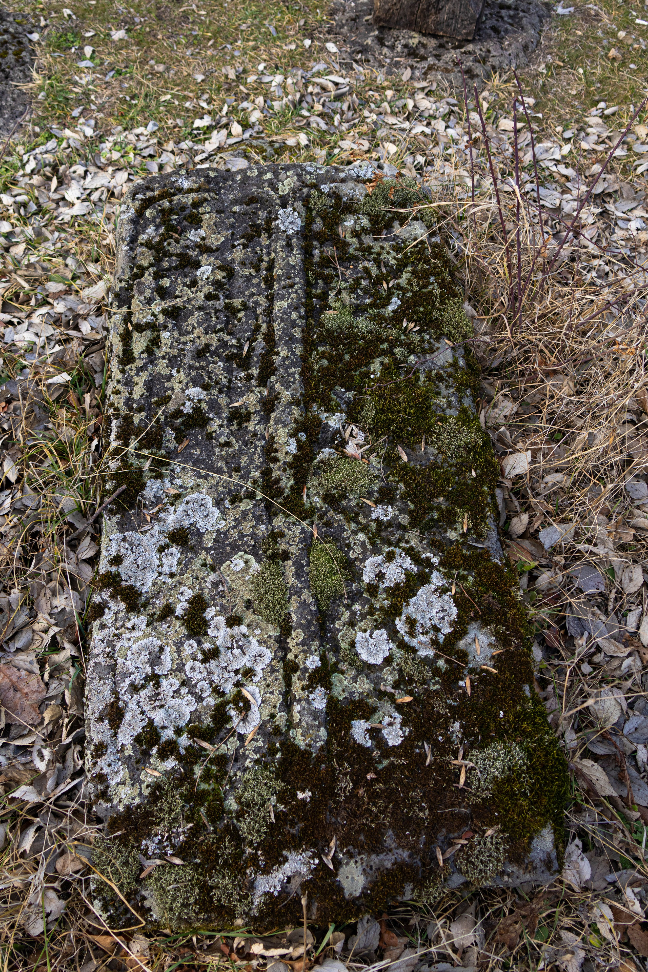 სამშვილდე. FramefreeMan