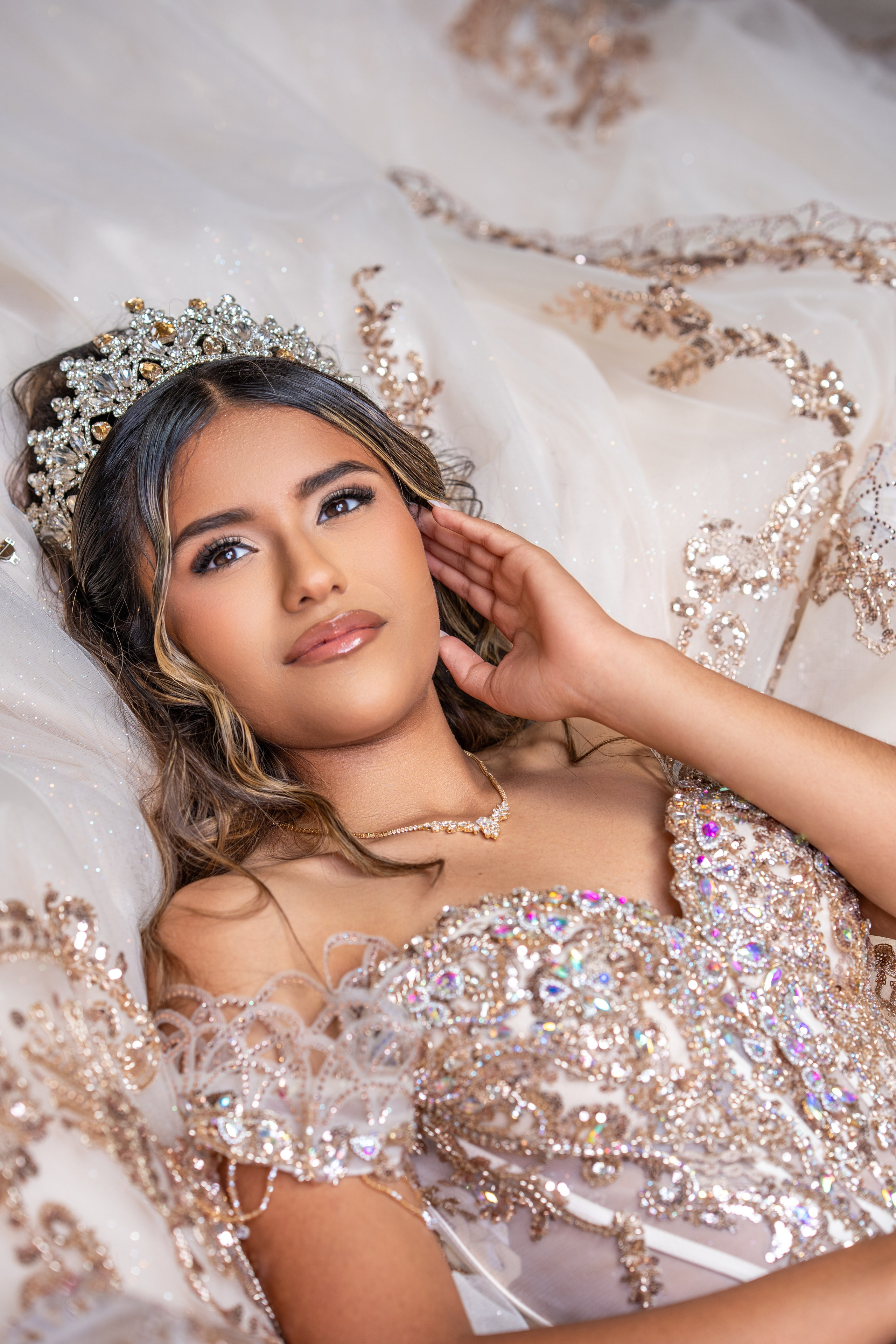SOFIA XV AÑOS. Quinceañera y Bodas
