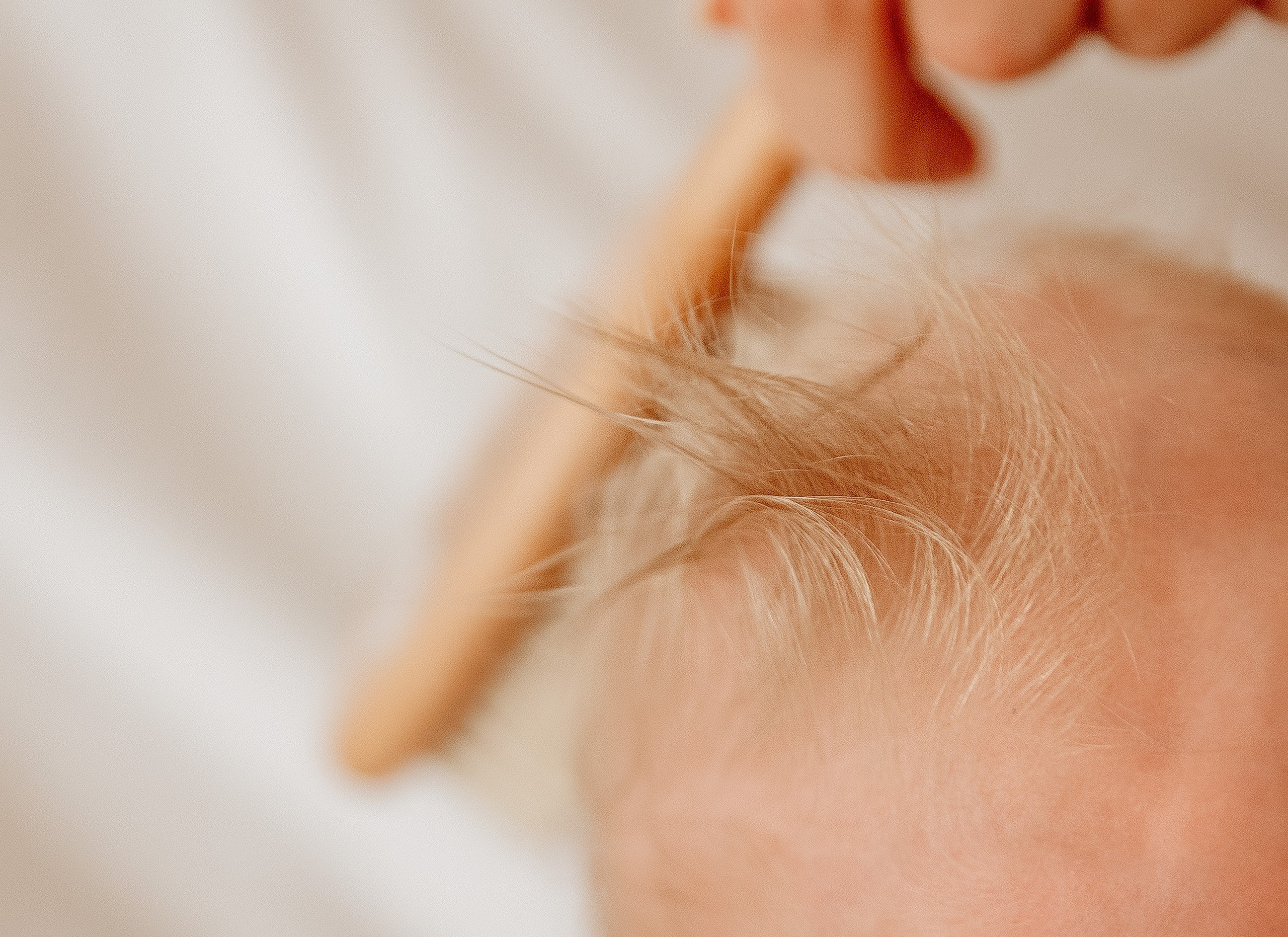 Babybauch & Newborn. Oxana Gruber Fotograf