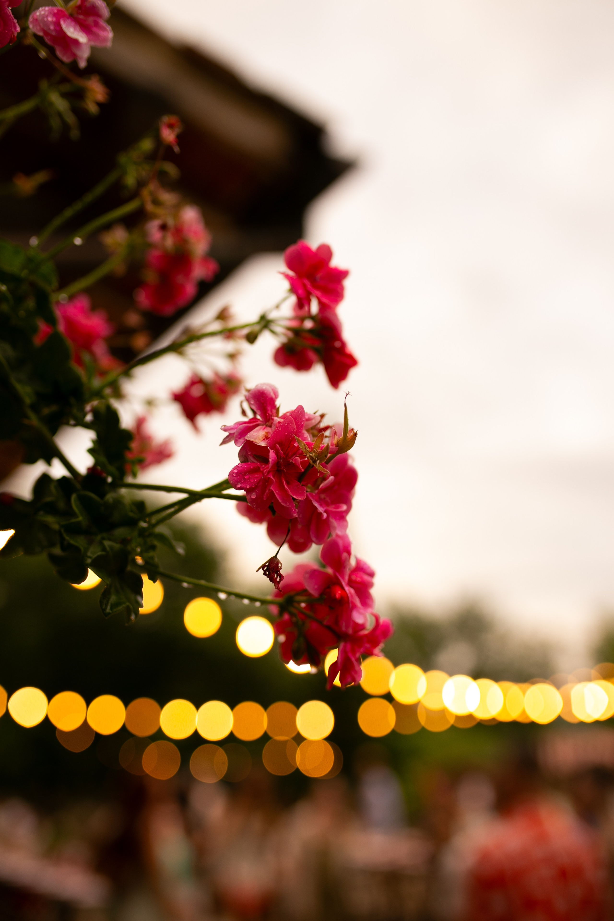 LESLIERL & JUAN. CK Photography | Wedding Photographer & Videographer in Italy