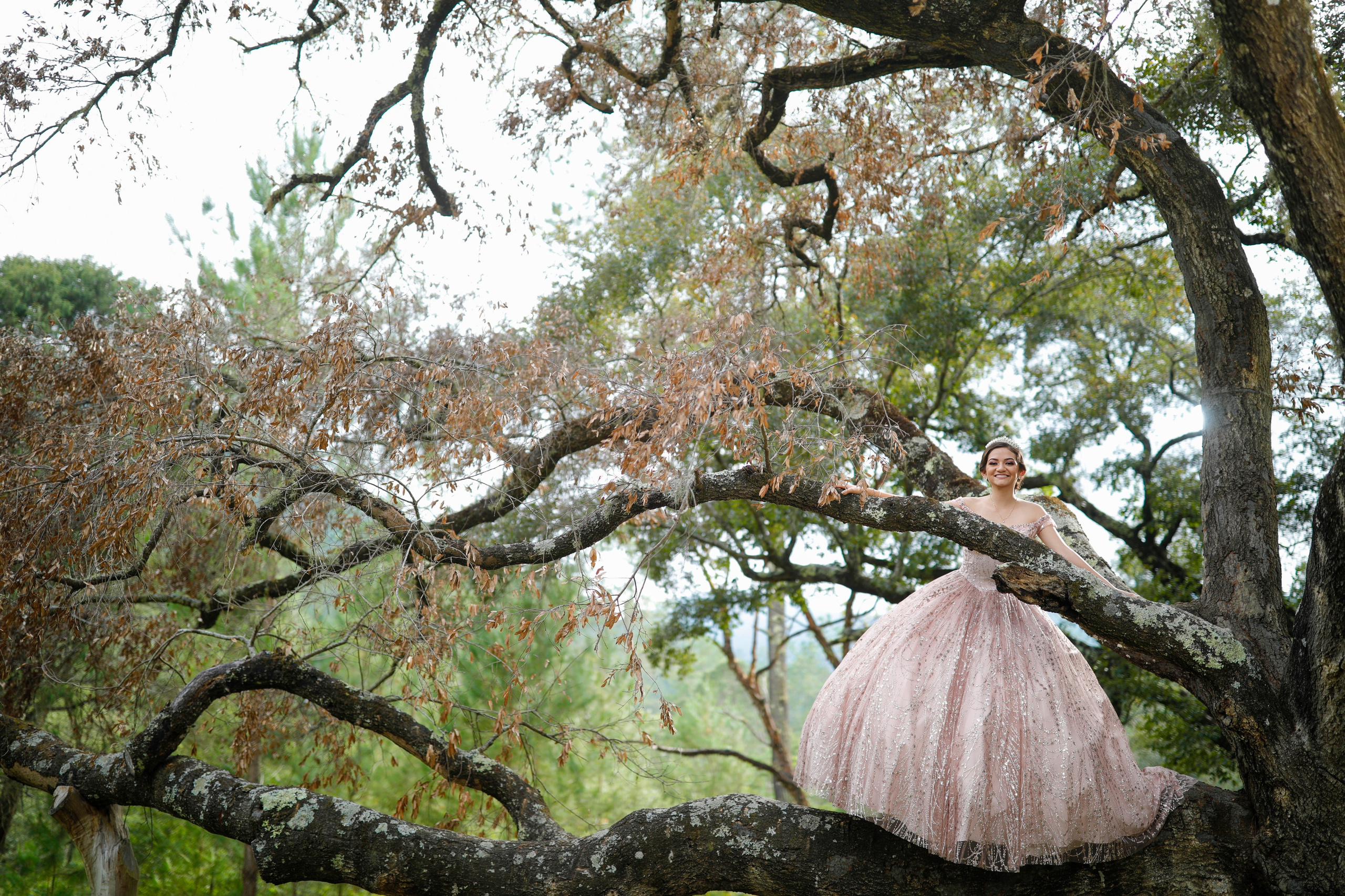 XV años de Sara Julieta. Principal