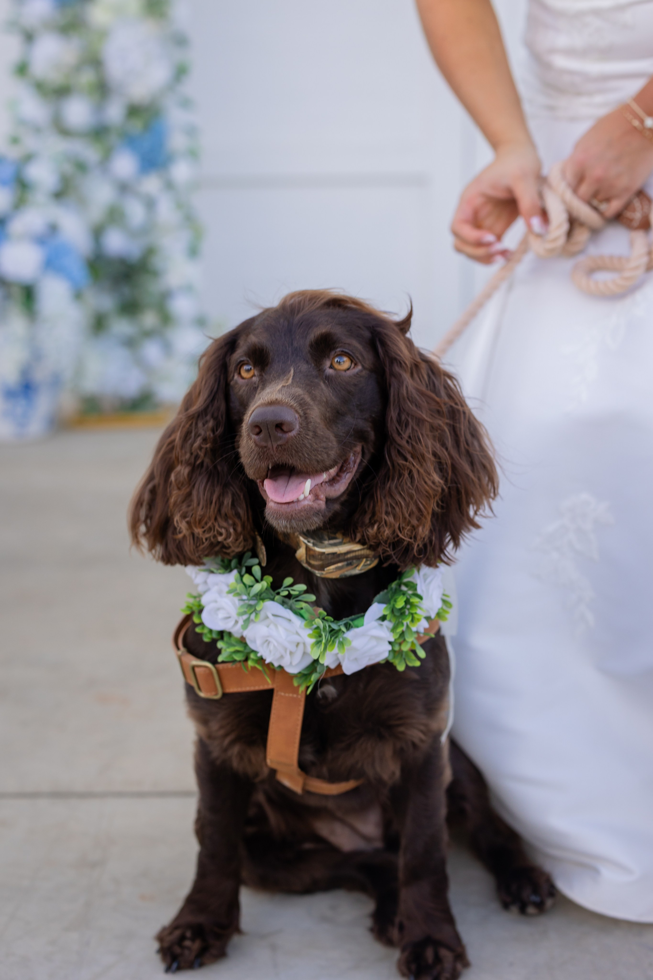 Romance at The Terrace: Kacey & Garrett’s Southern Wedding in Abbeville. Wedding and portrait photography in Greenville SC