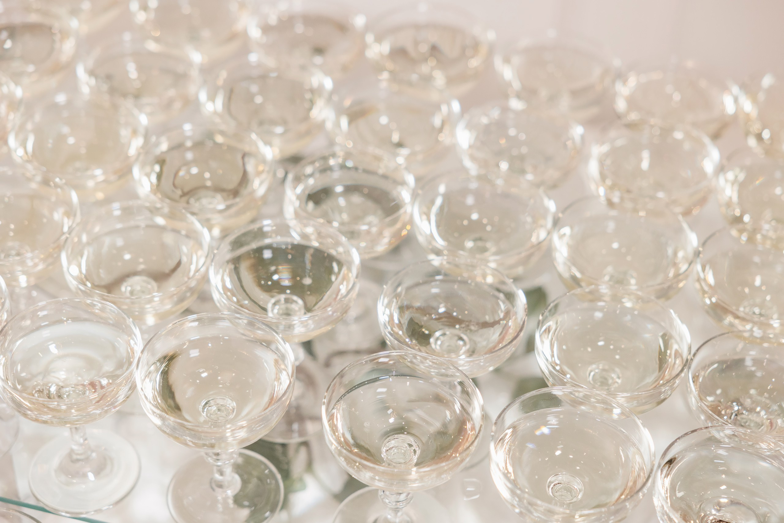 31.08.2024 Wedding. Wedding family event photographer in Chicago Nick Yushevich