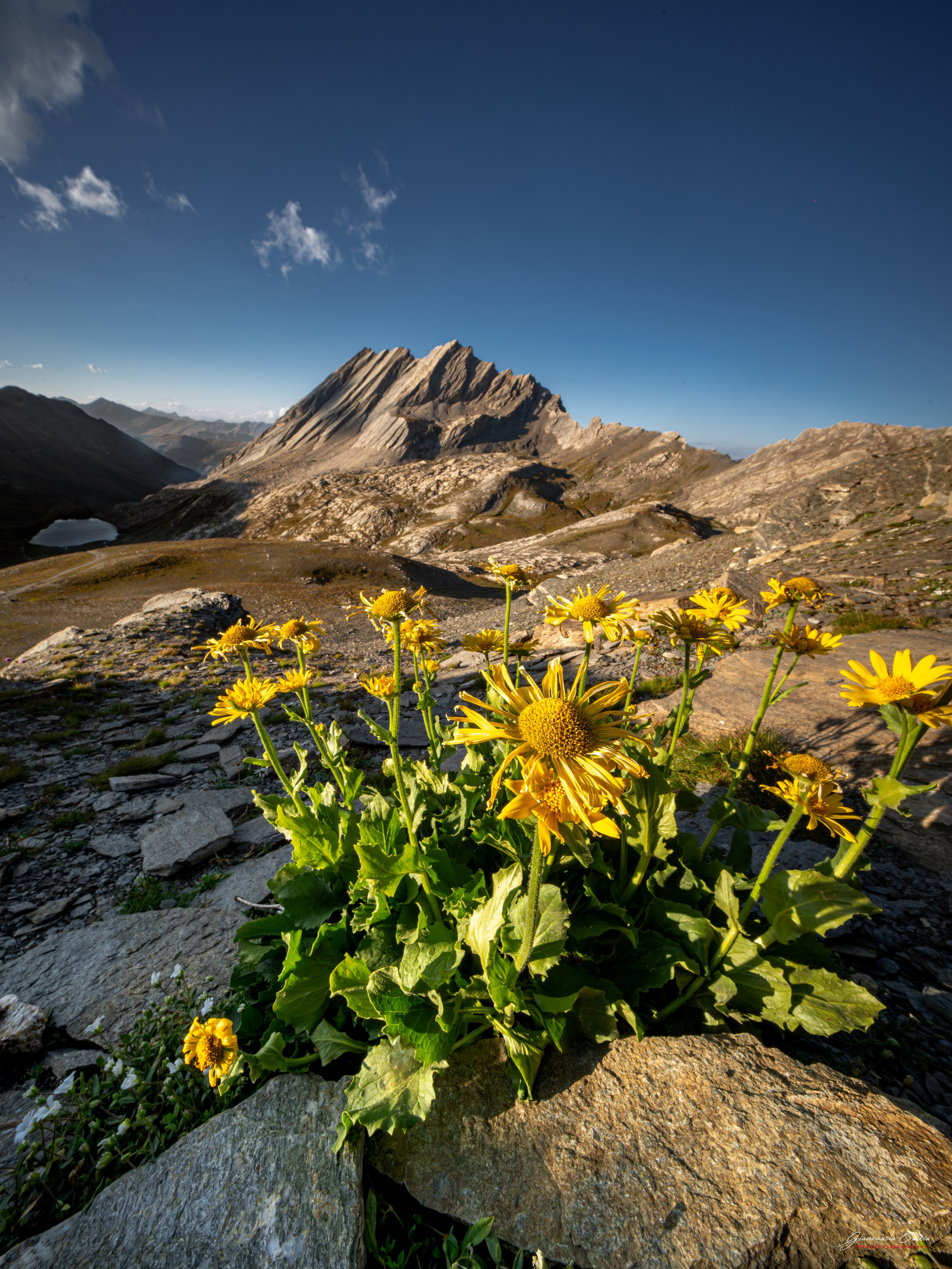 Varie Paesaggio. “Gianmaria Coscia fotografo per passione”