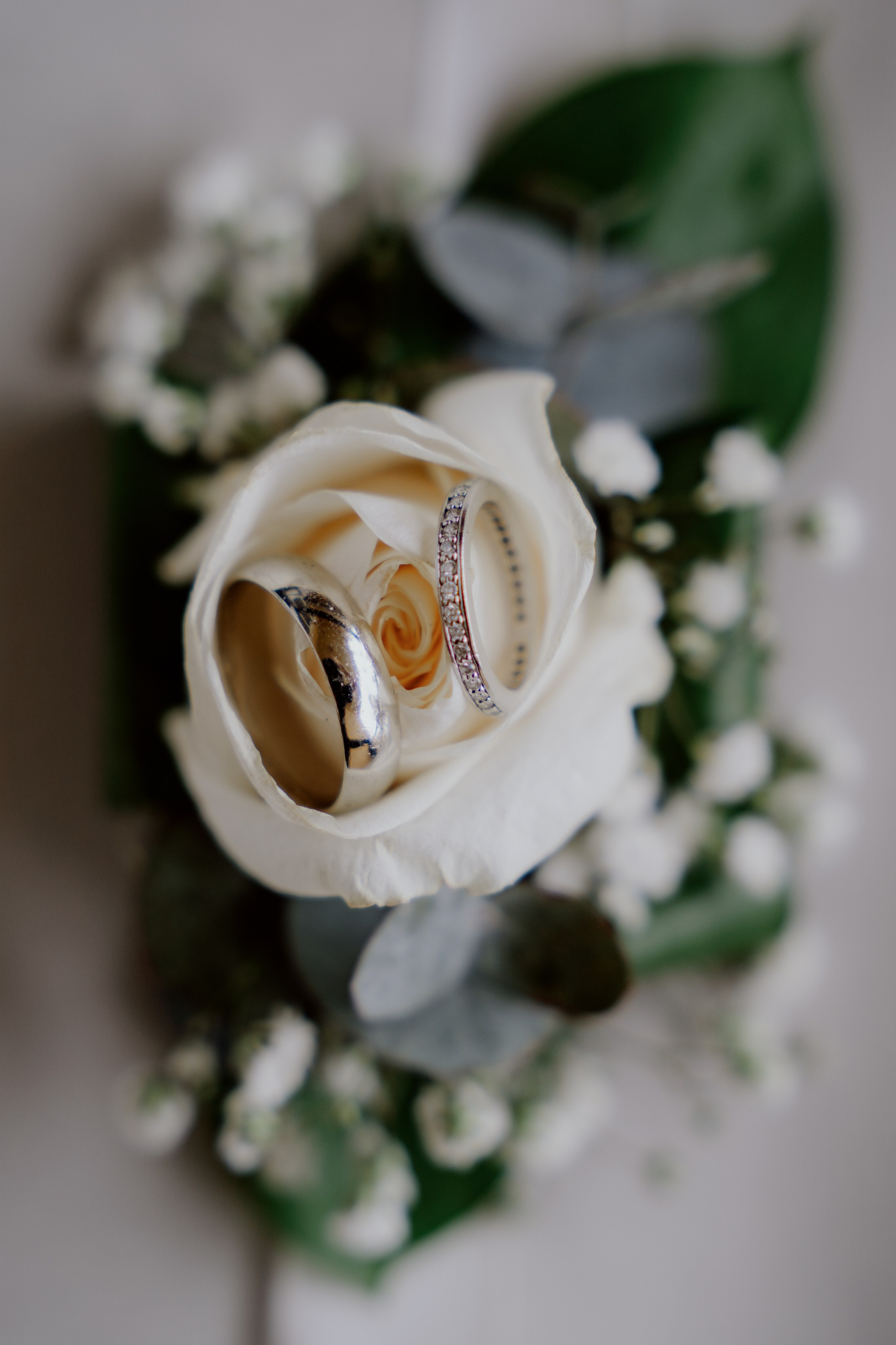 Family and wedding photographer in Puerto Plata. Photographer in Puerto Plata and Santo Domingo, Dominican Republic