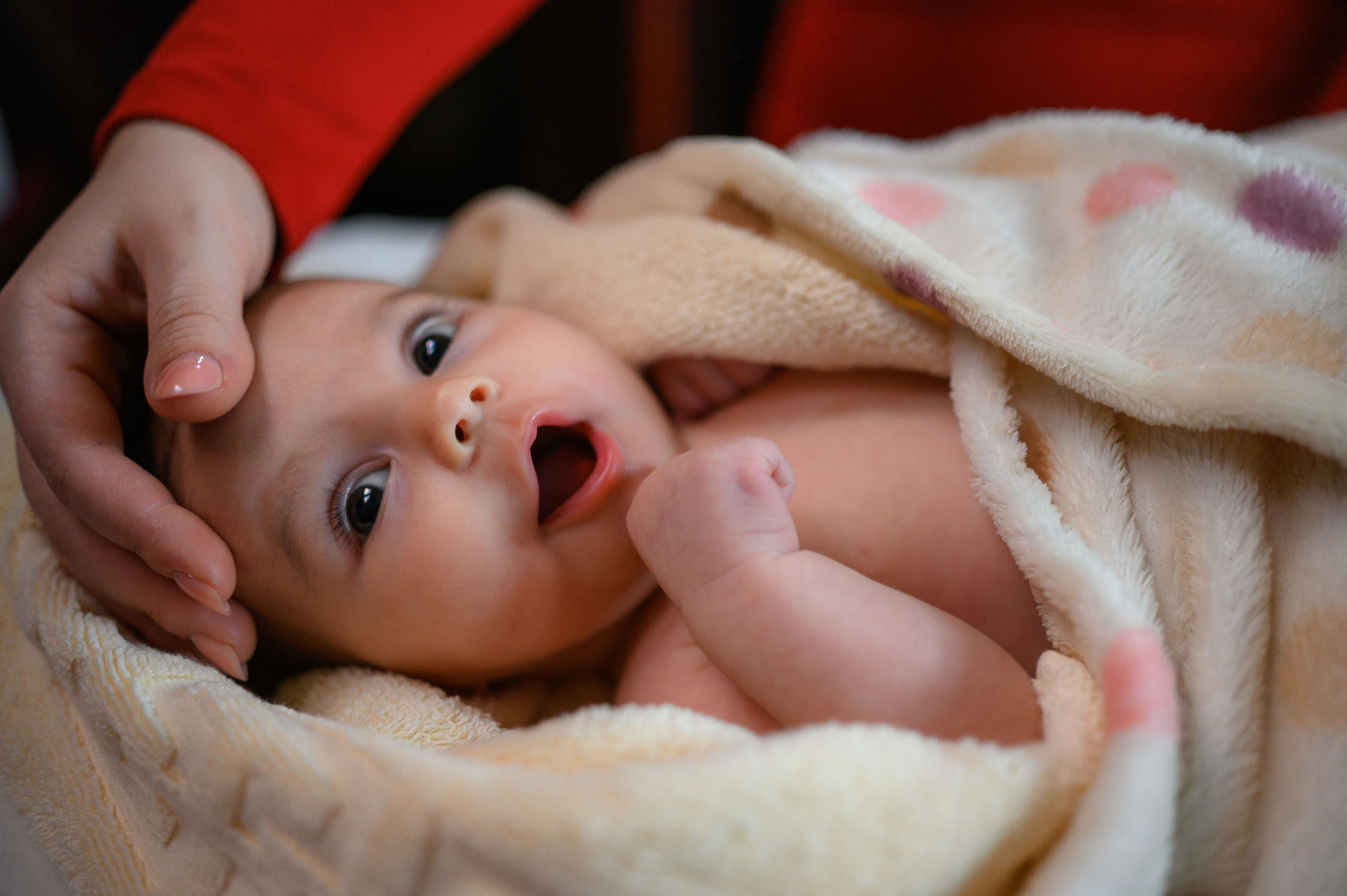 Karla Andreea. Erik Bagy | Fotograf de Nuntă