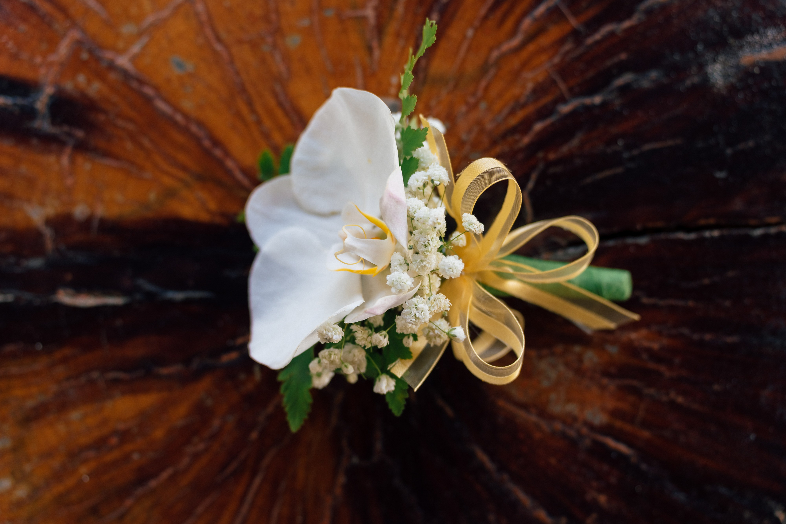 Grace & Martin 03.11.2024. Wedding on Koh Samui, Thailand