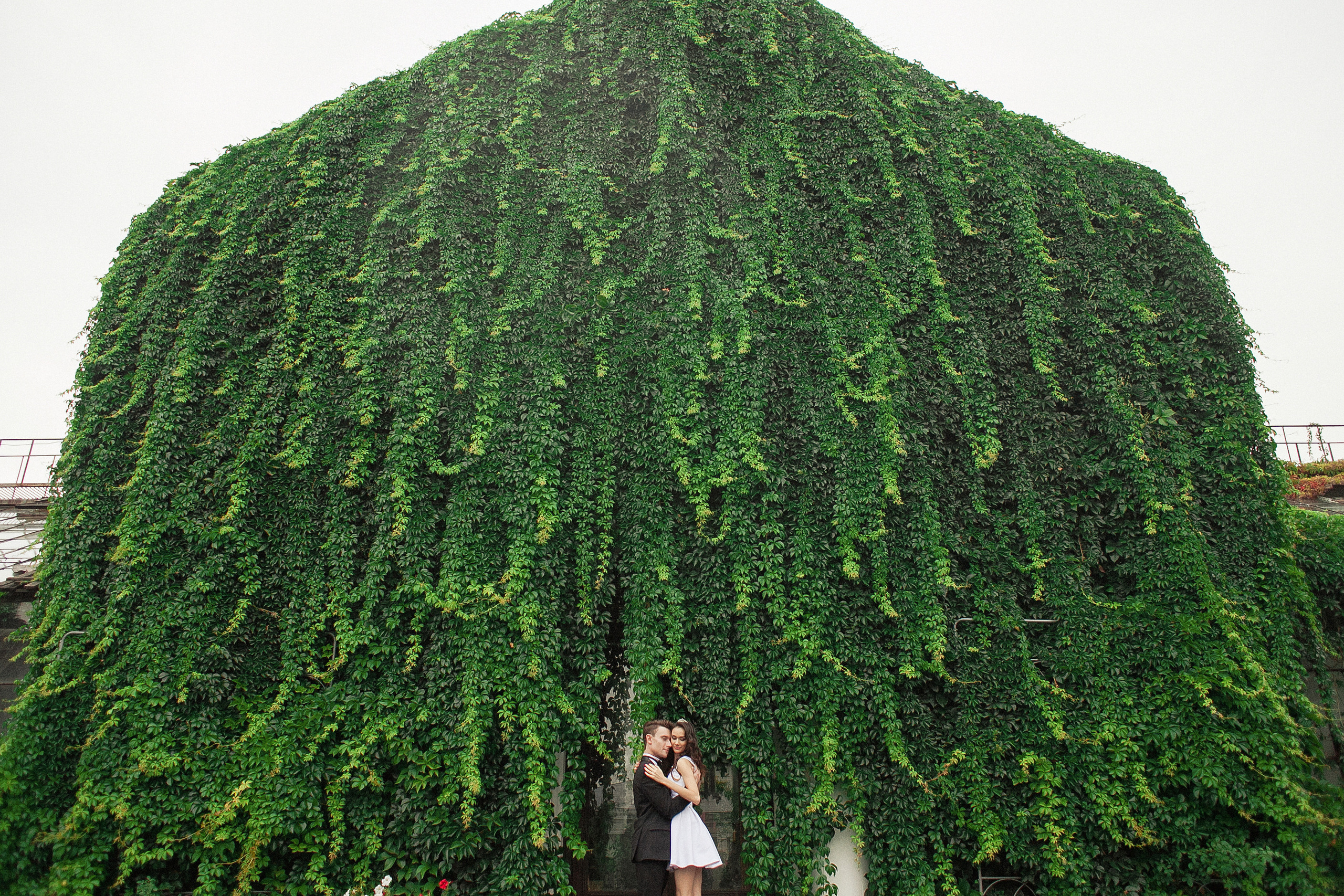 Wedding lovestory. Amazing photo session at a time convenient for you. Y