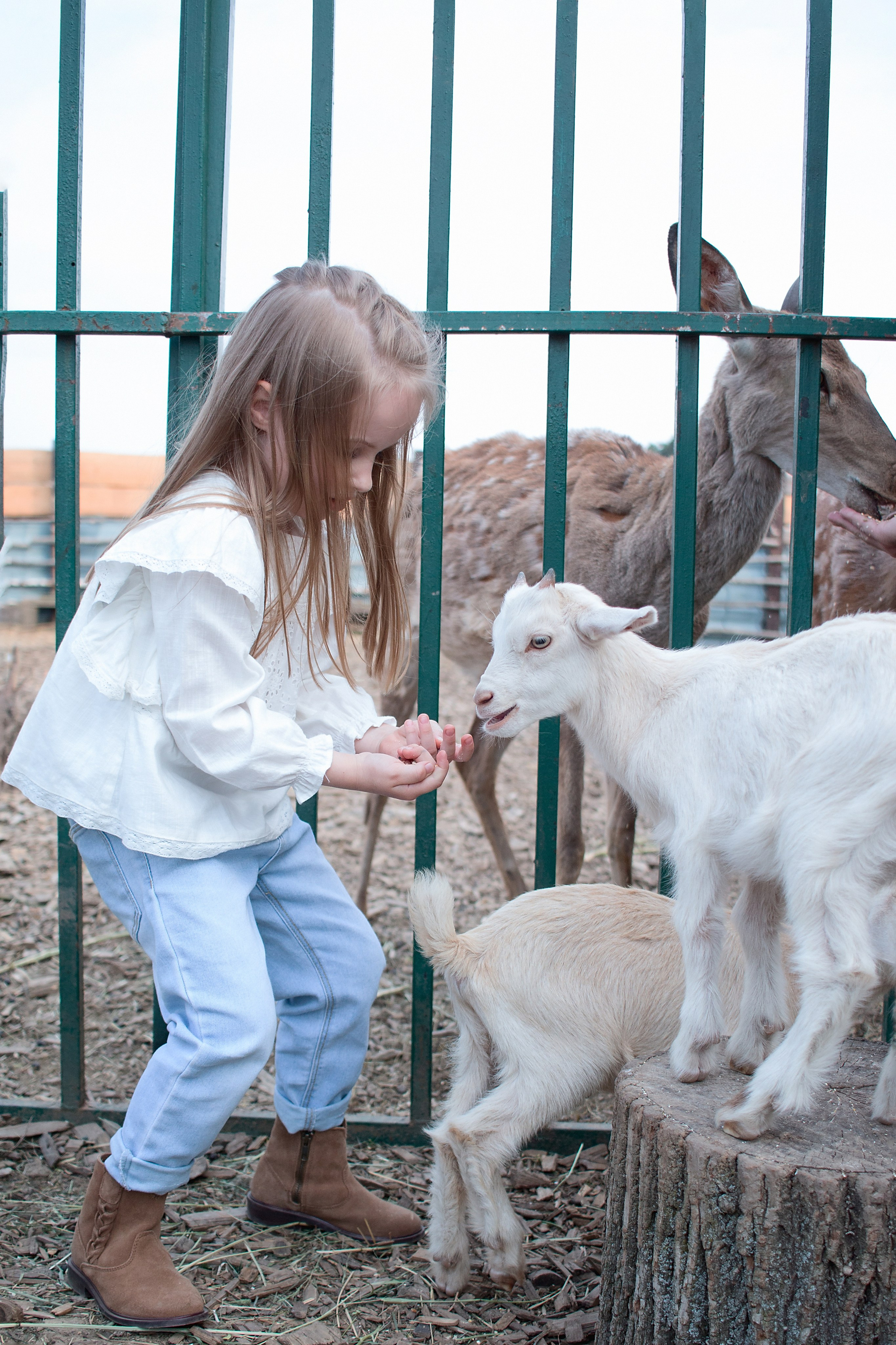 Конюшня. Детский и семейный фотограф в г. Бельцы