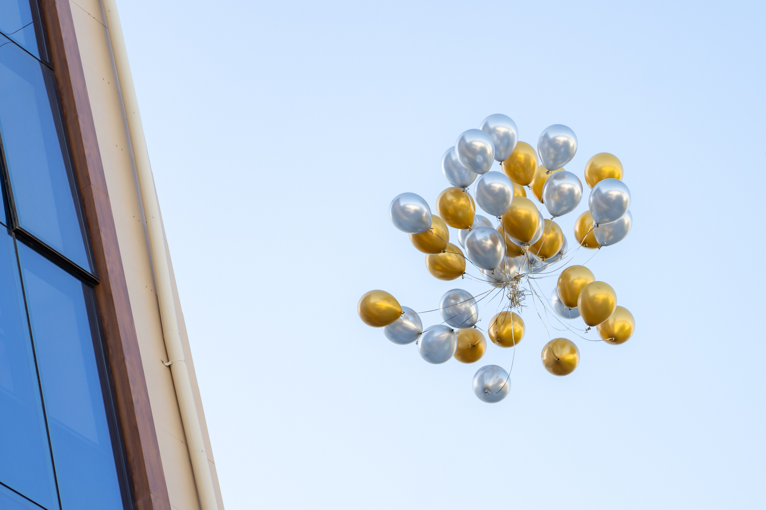 В школах Узбекистана прозвенел Первый звонок. Георгий Намазов | Фотограф в Ташкенте