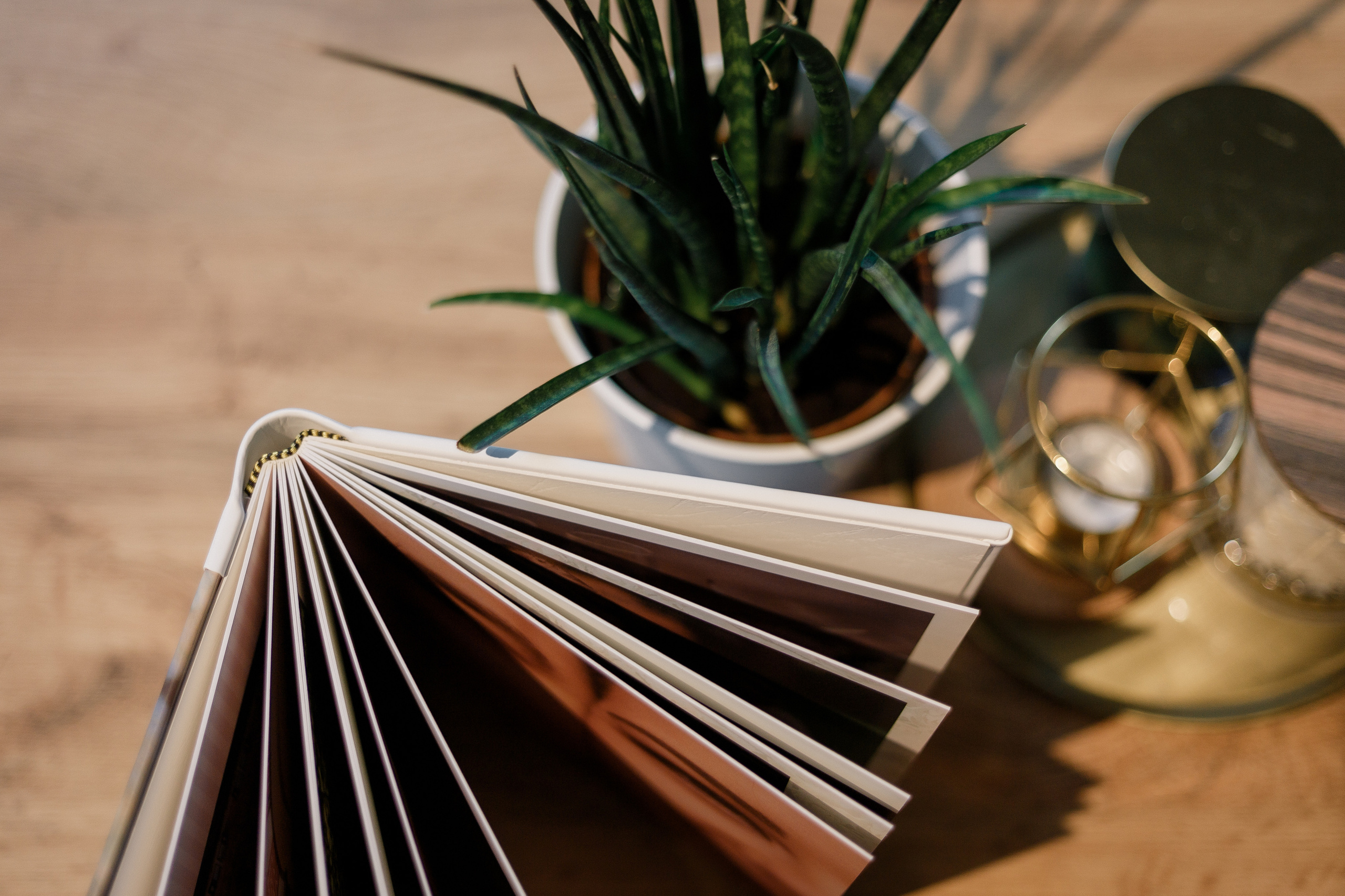 Фотоальбом. Elizaveta Romanova Fotografin in Hamburg