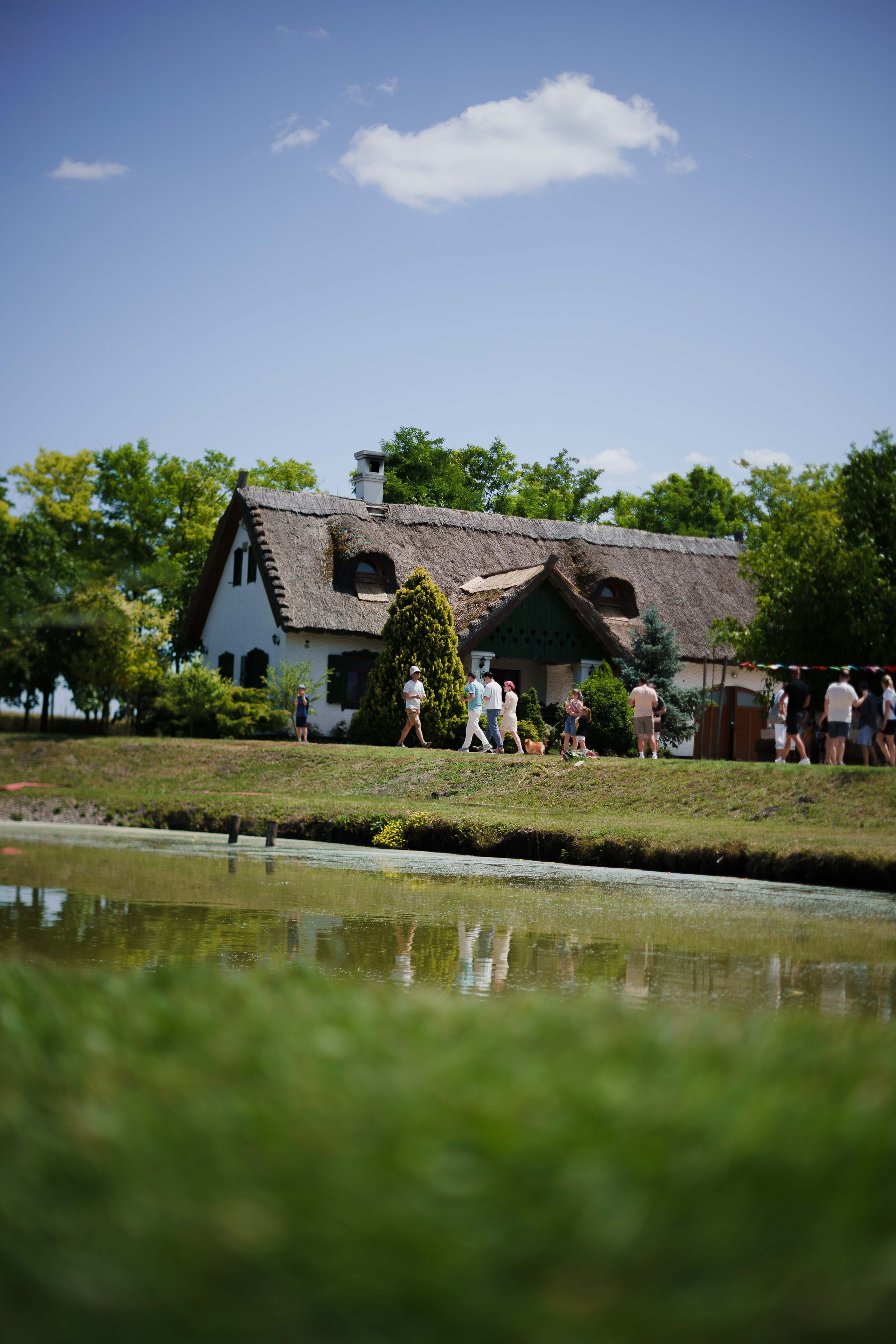 FiveTran Summer Picnic. Жуков Студио