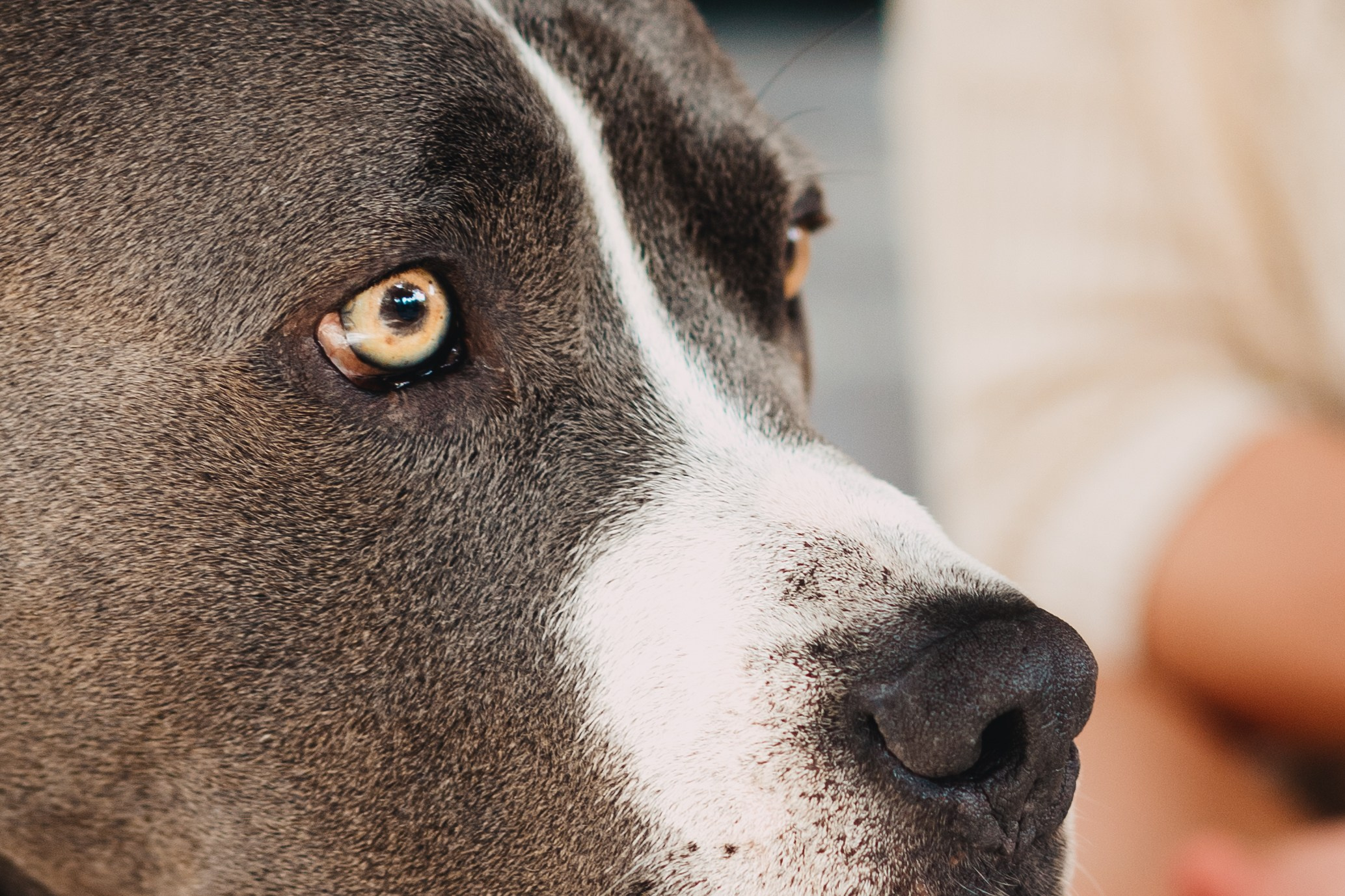 Baby. Elena Baturina Photography