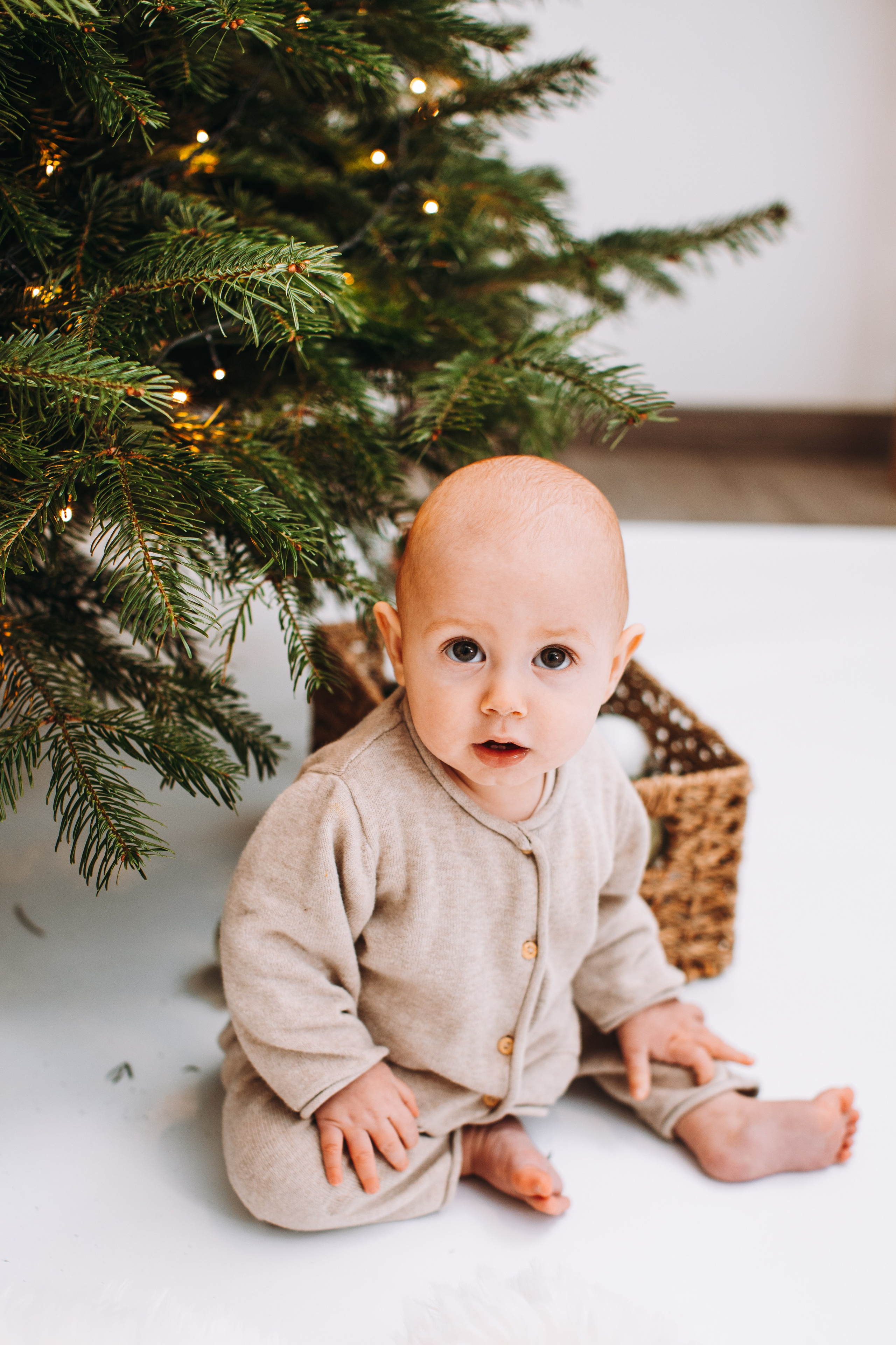 Weihnachtsshooting. Dienstleistungen