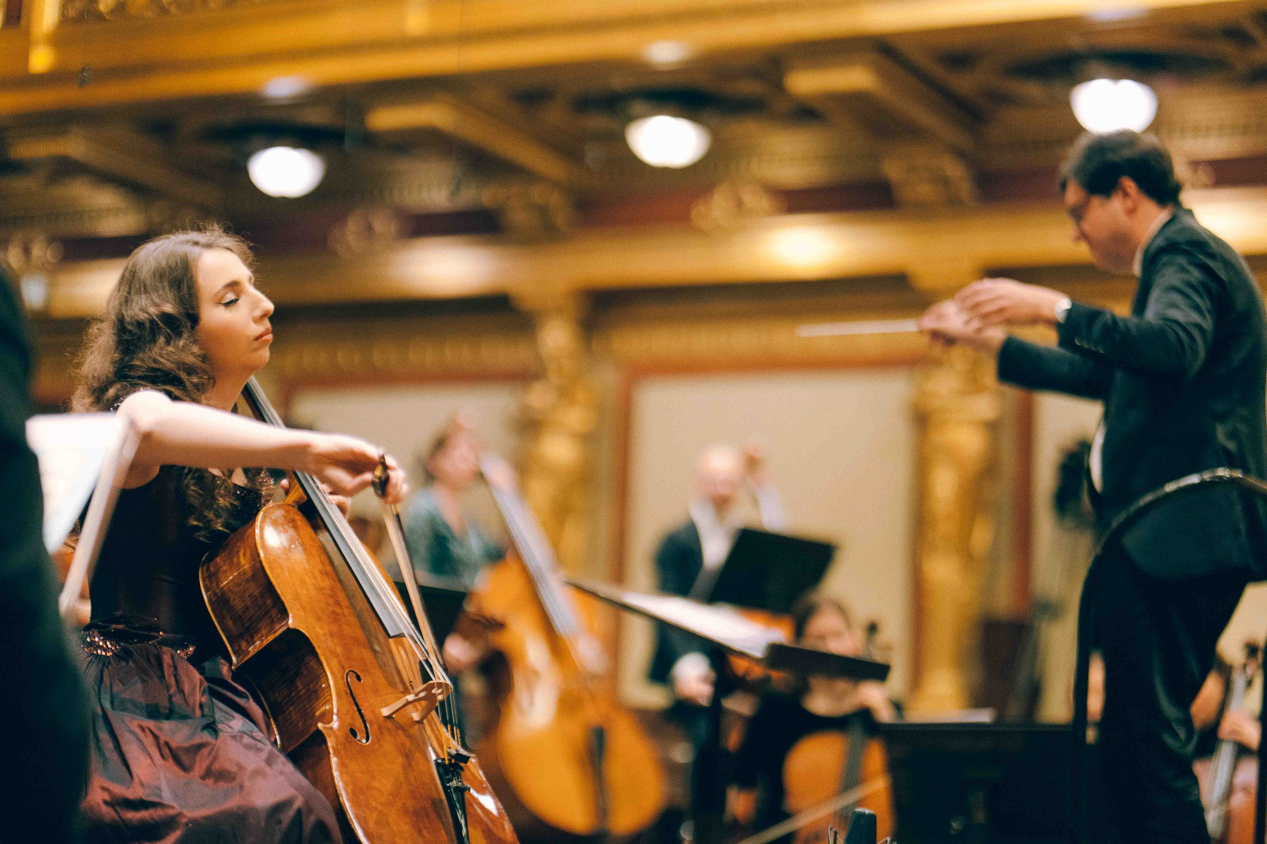MUSIKVEREIN (VIENNA). Wedding&Event photographer Ismail Rzayev in Baku