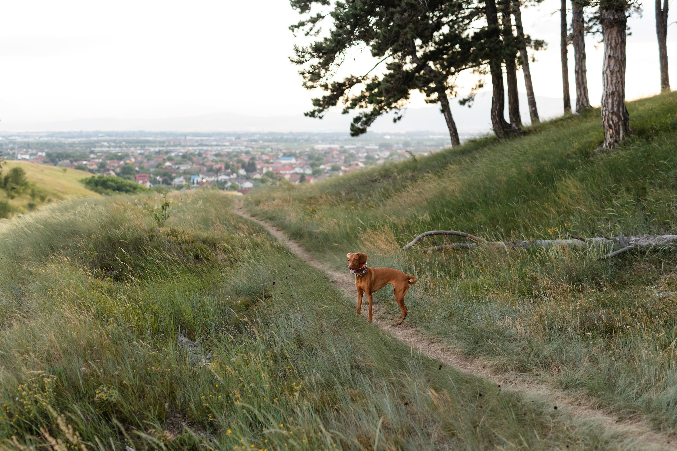 Nico, Luci & Ilaria — Family. Main