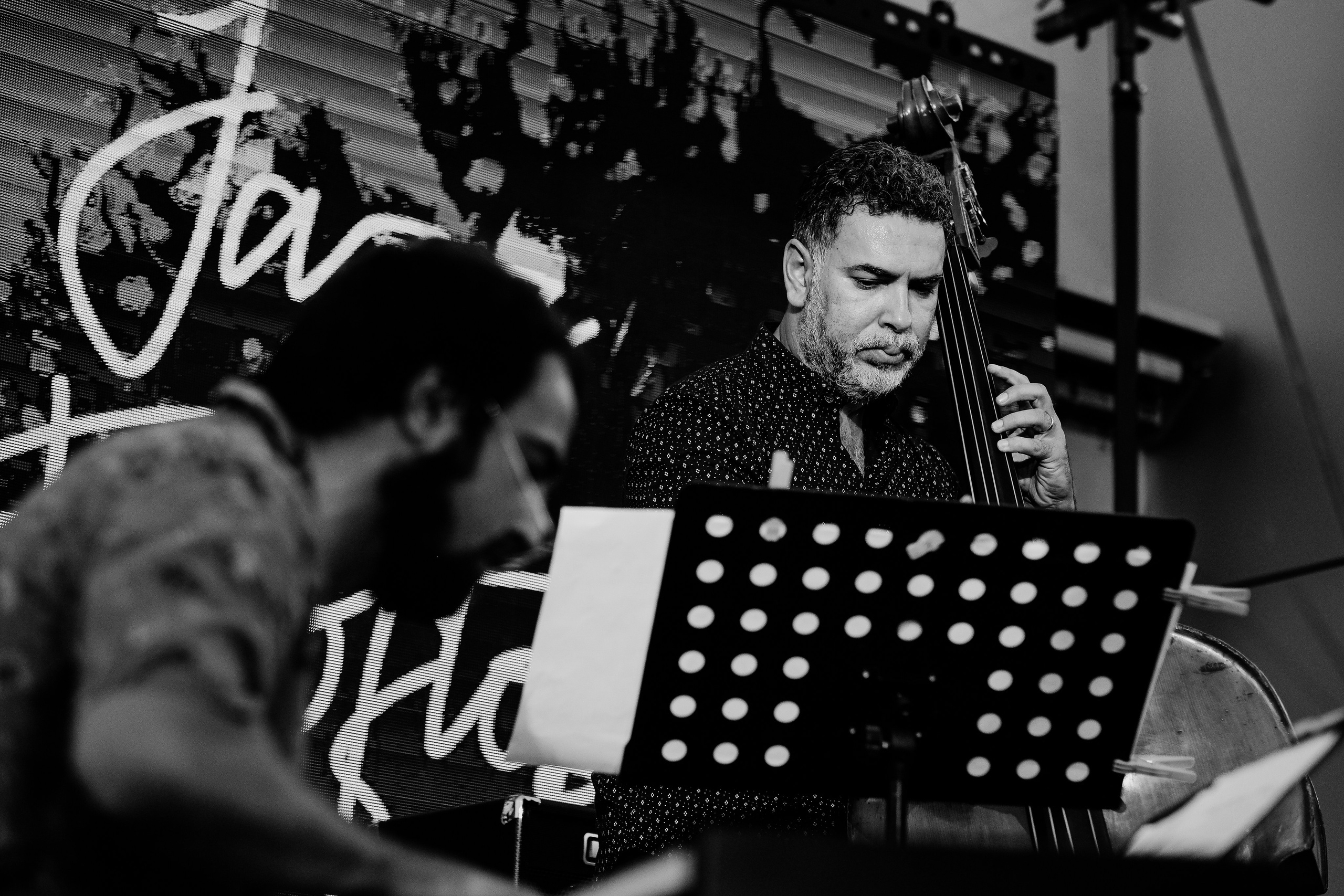 Razvan Cojanu. Hornetart