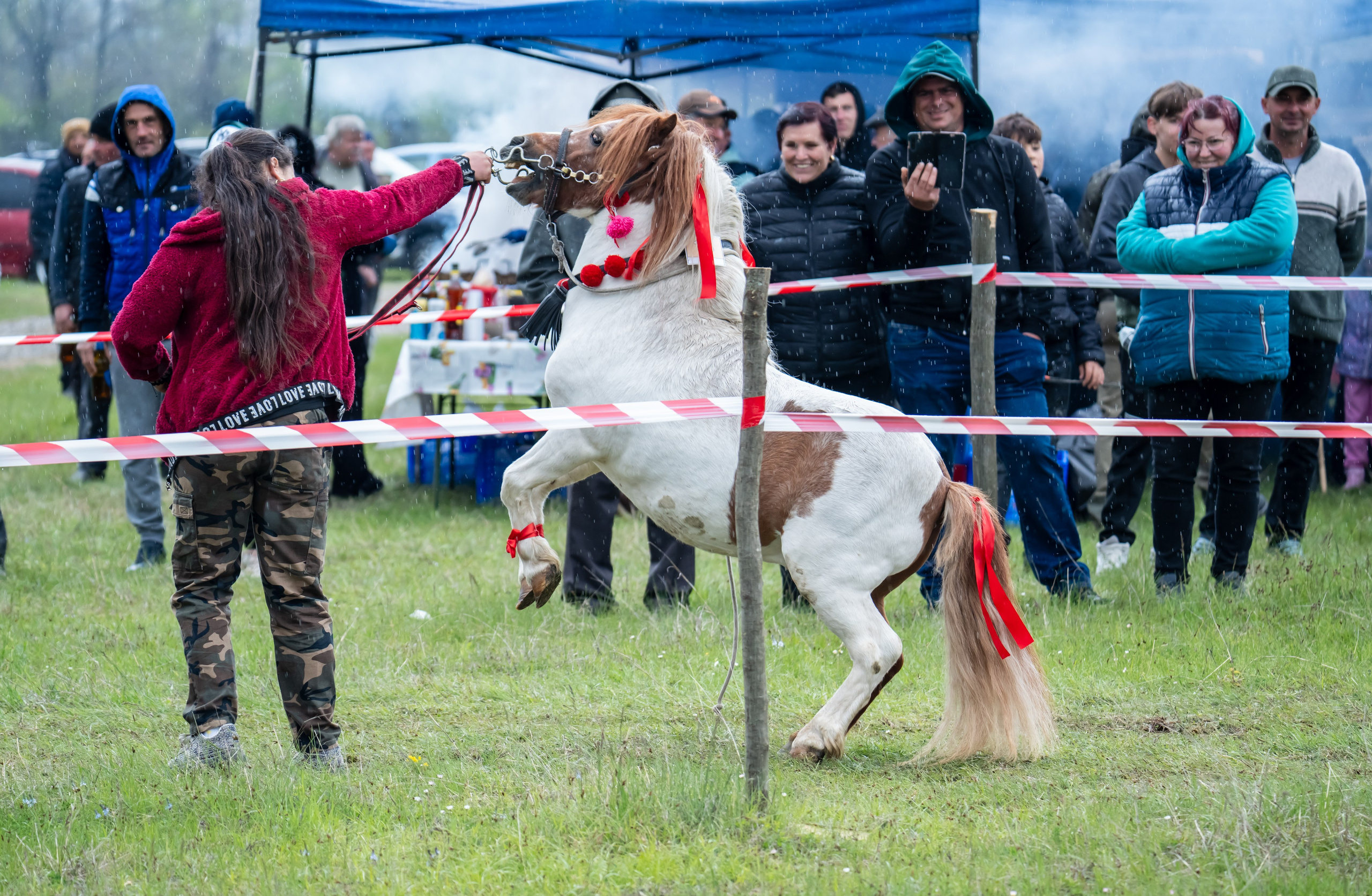 Concurs Ecvestru Vărbilău ediția a 4-a. Mihai Alexandra Events