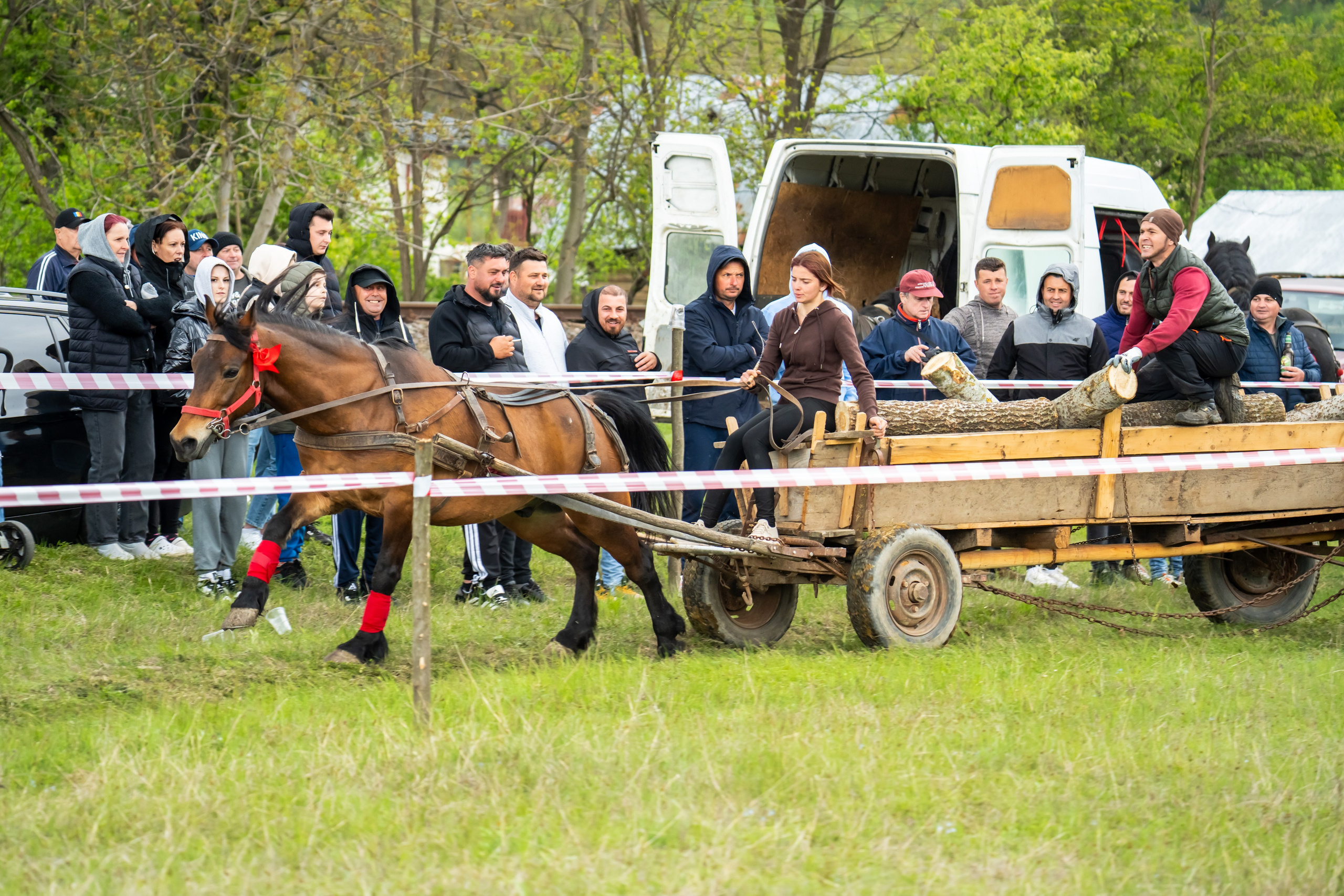 Concurs Ecvestru Vărbilău ediția a 4-a. Mihai Alexandra Events