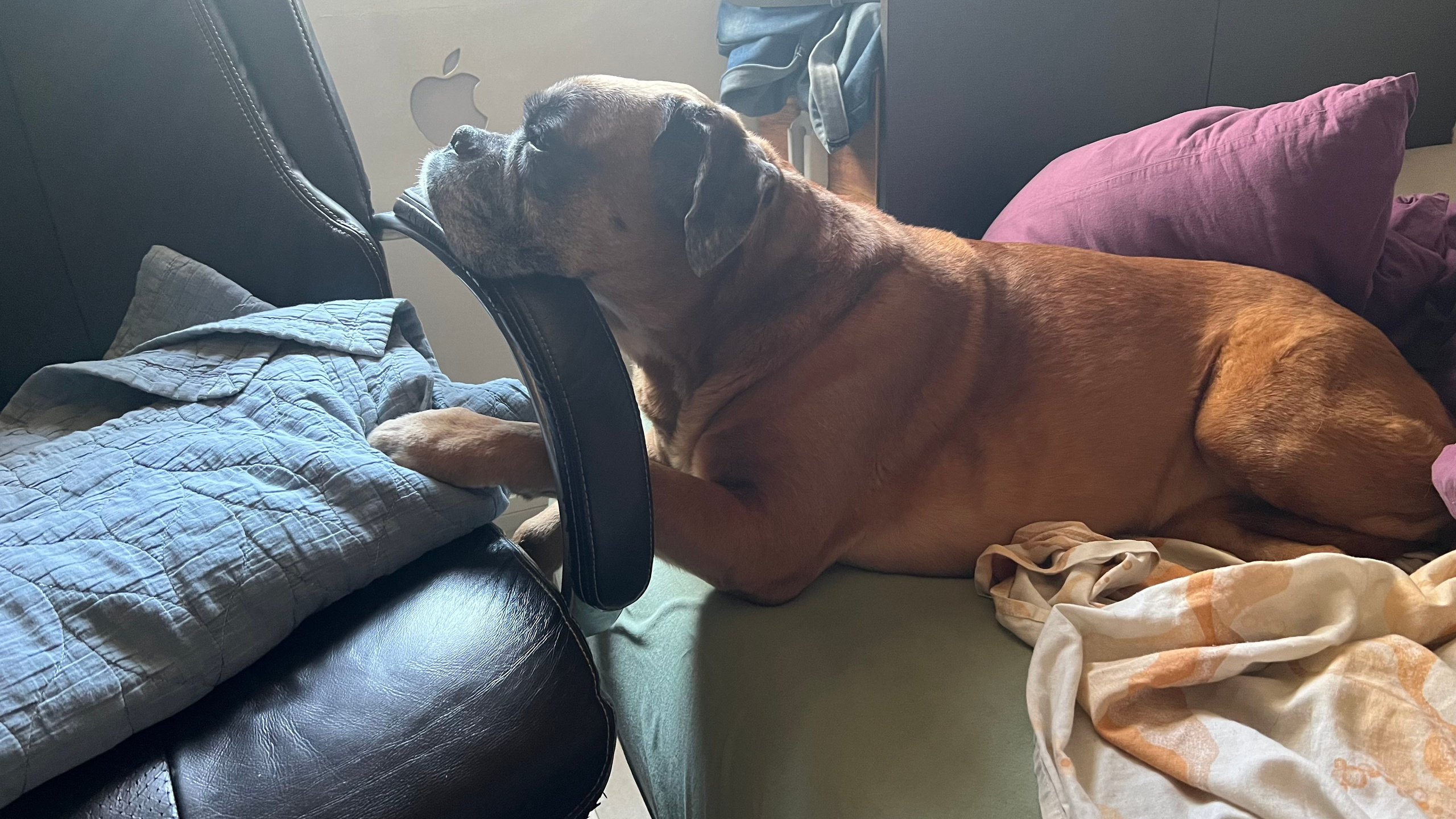 Everything from everything