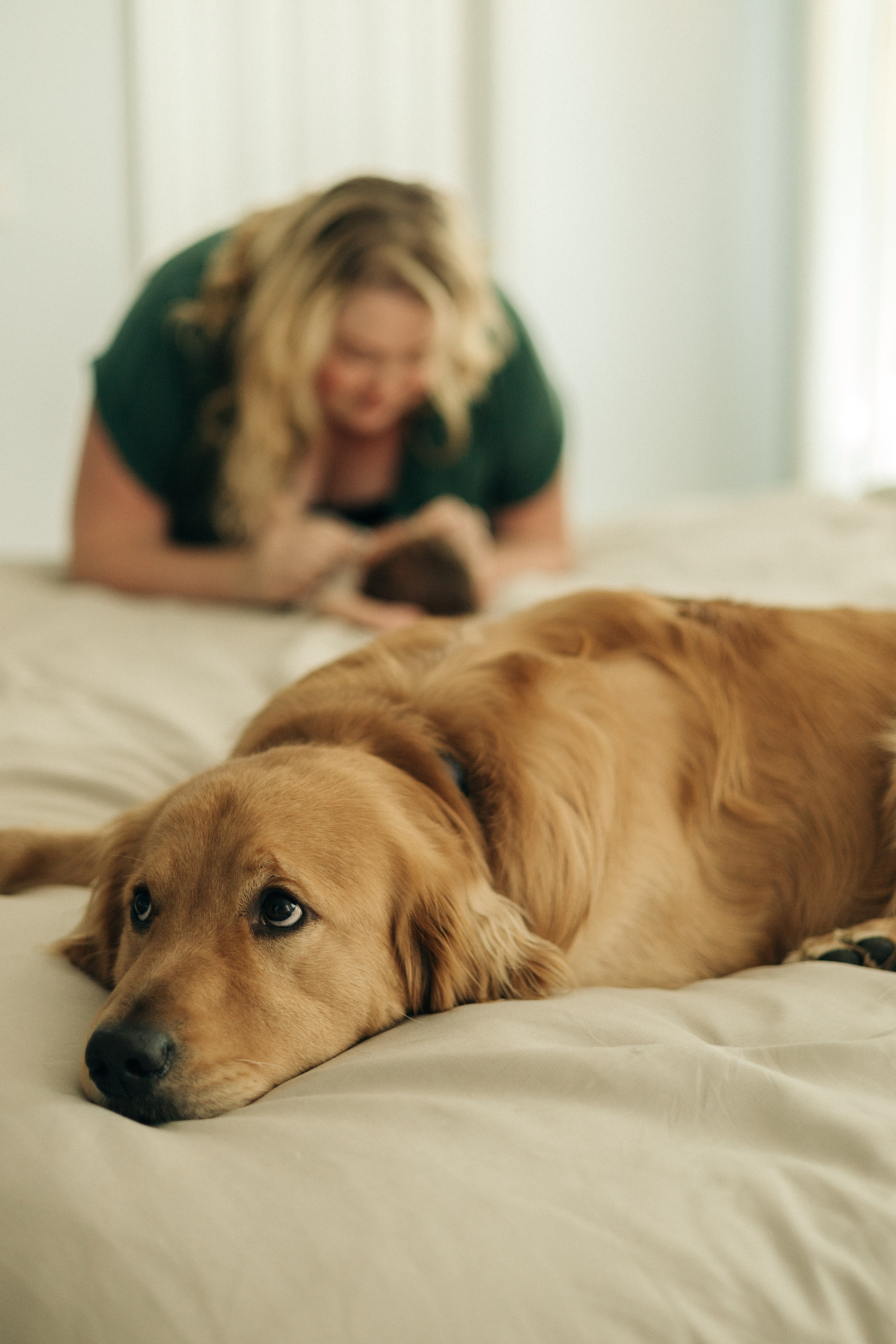 The Williams. Sara Eulalia | Virginia Photographer