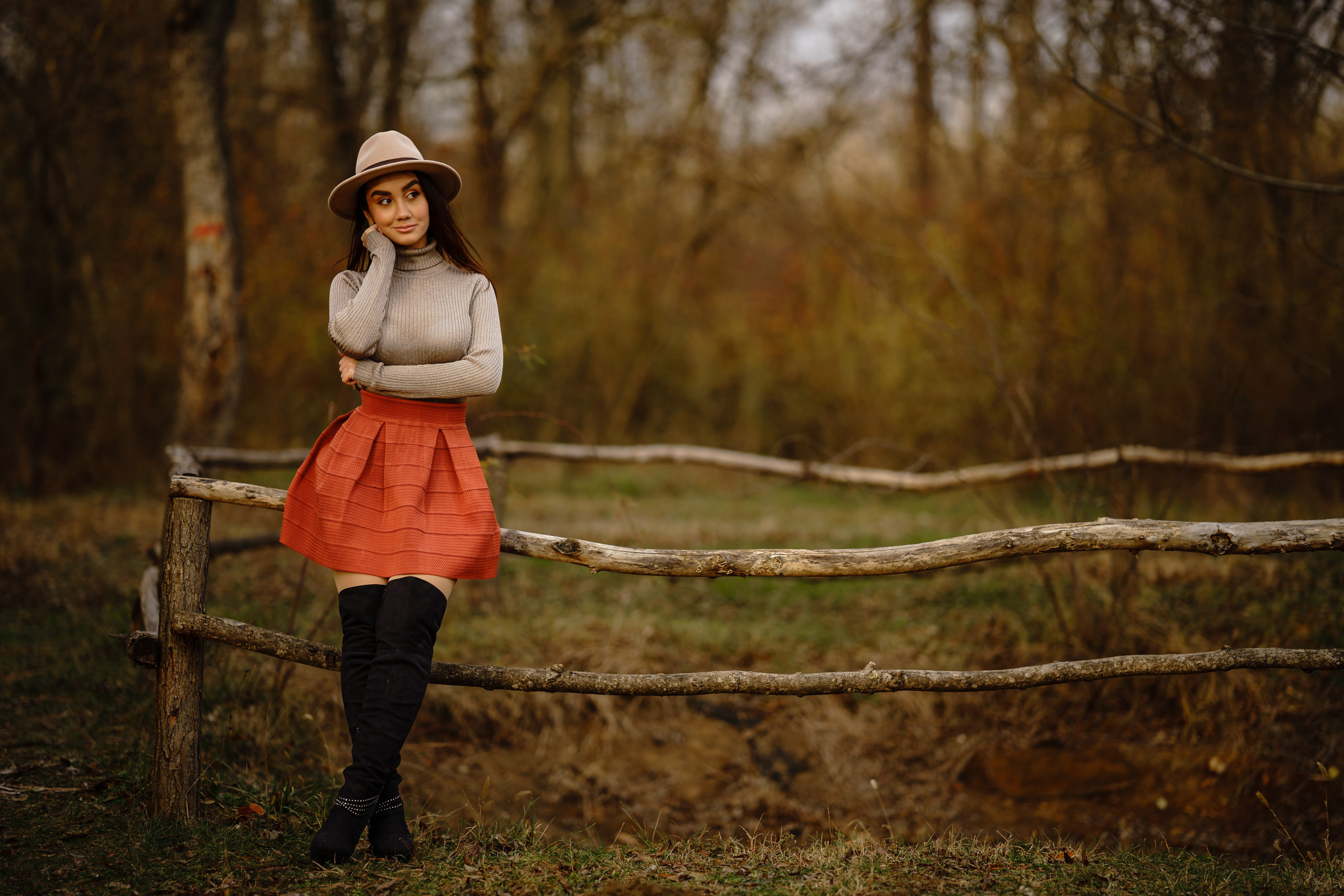 Padurea Ceala Gratuit. Trendy Albums