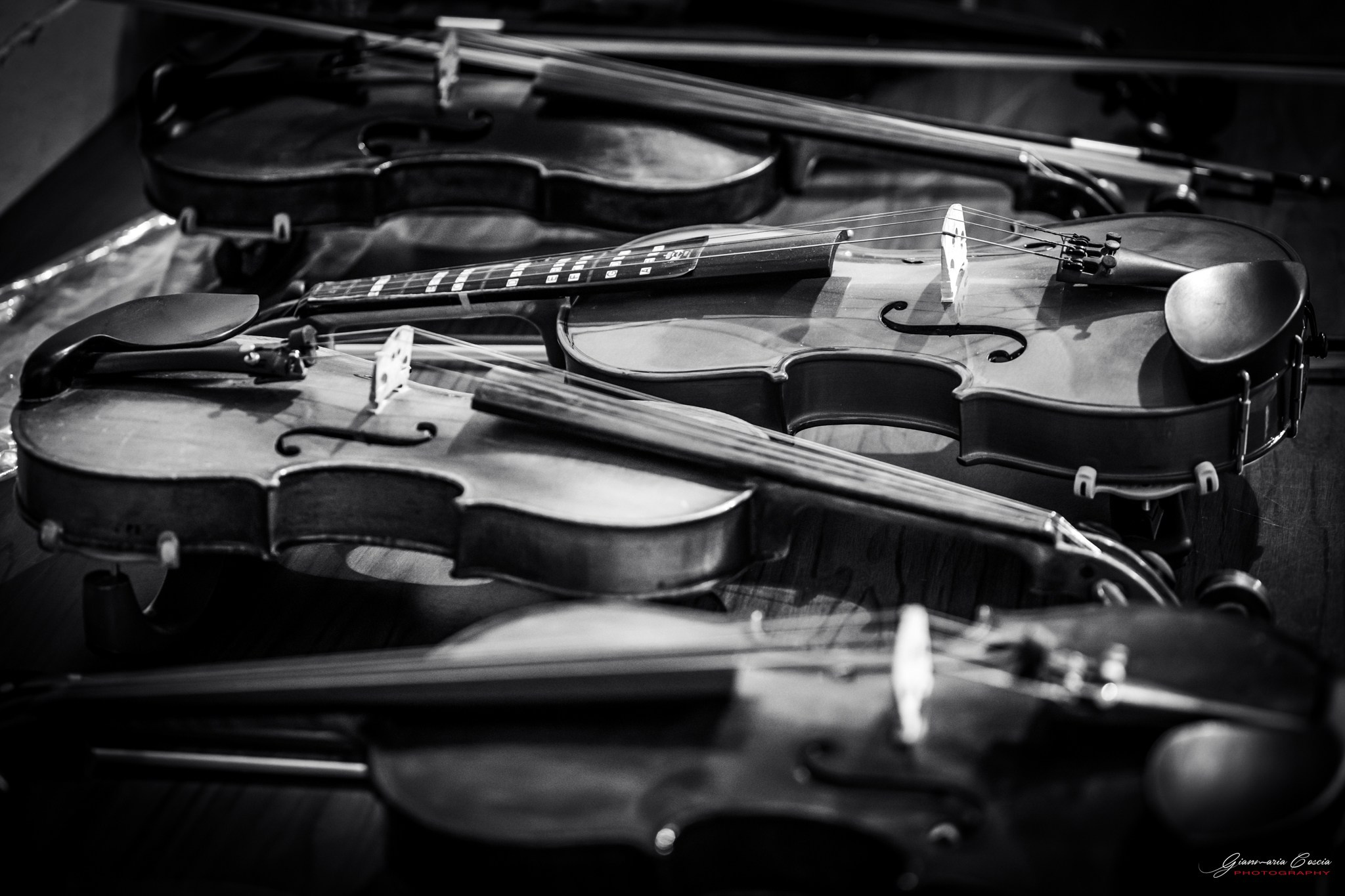 Concerto Rodello. “Gianmaria Coscia fotografo per passione”