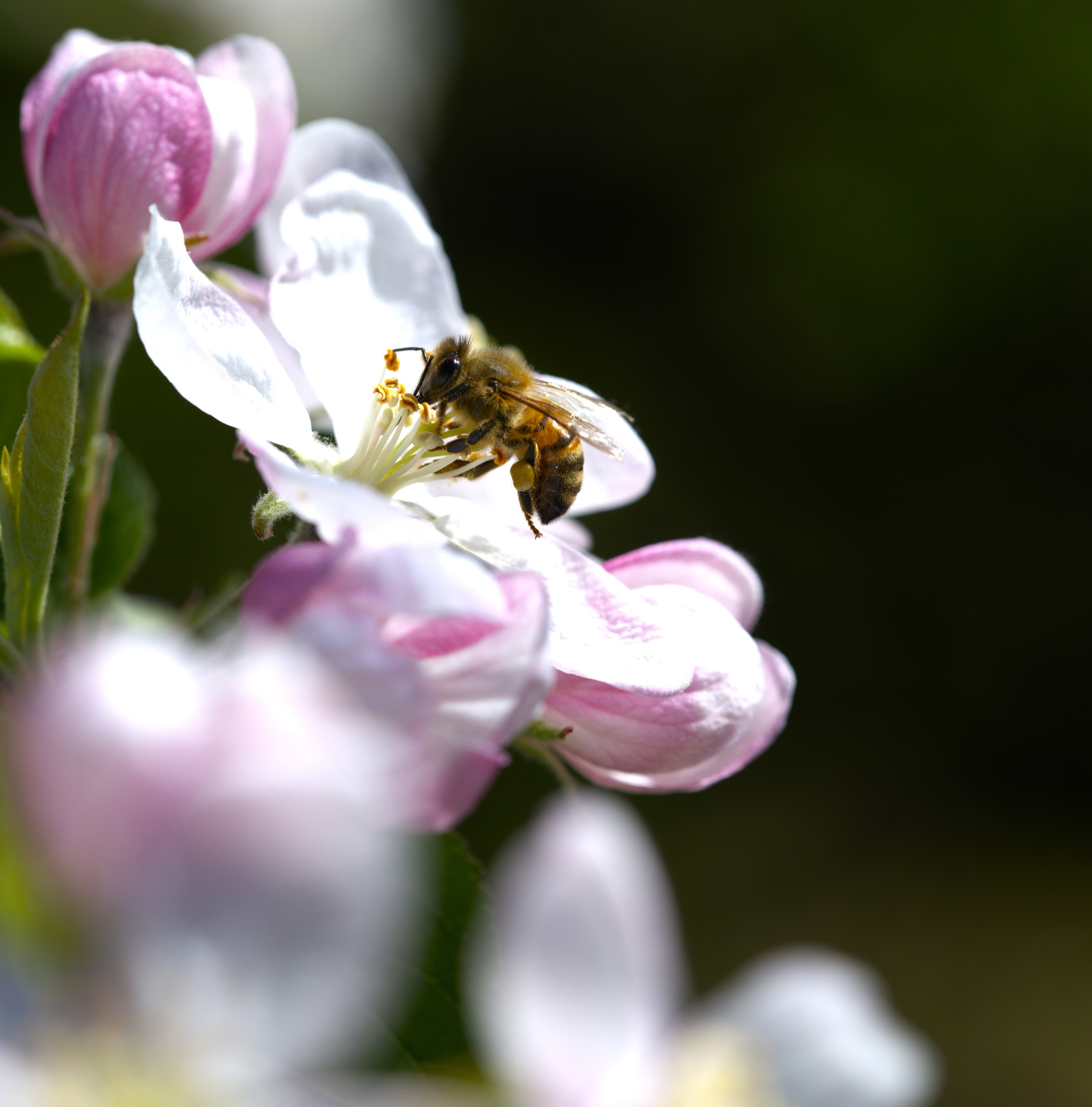 “Gianmaria Coscia fotografo per passione”