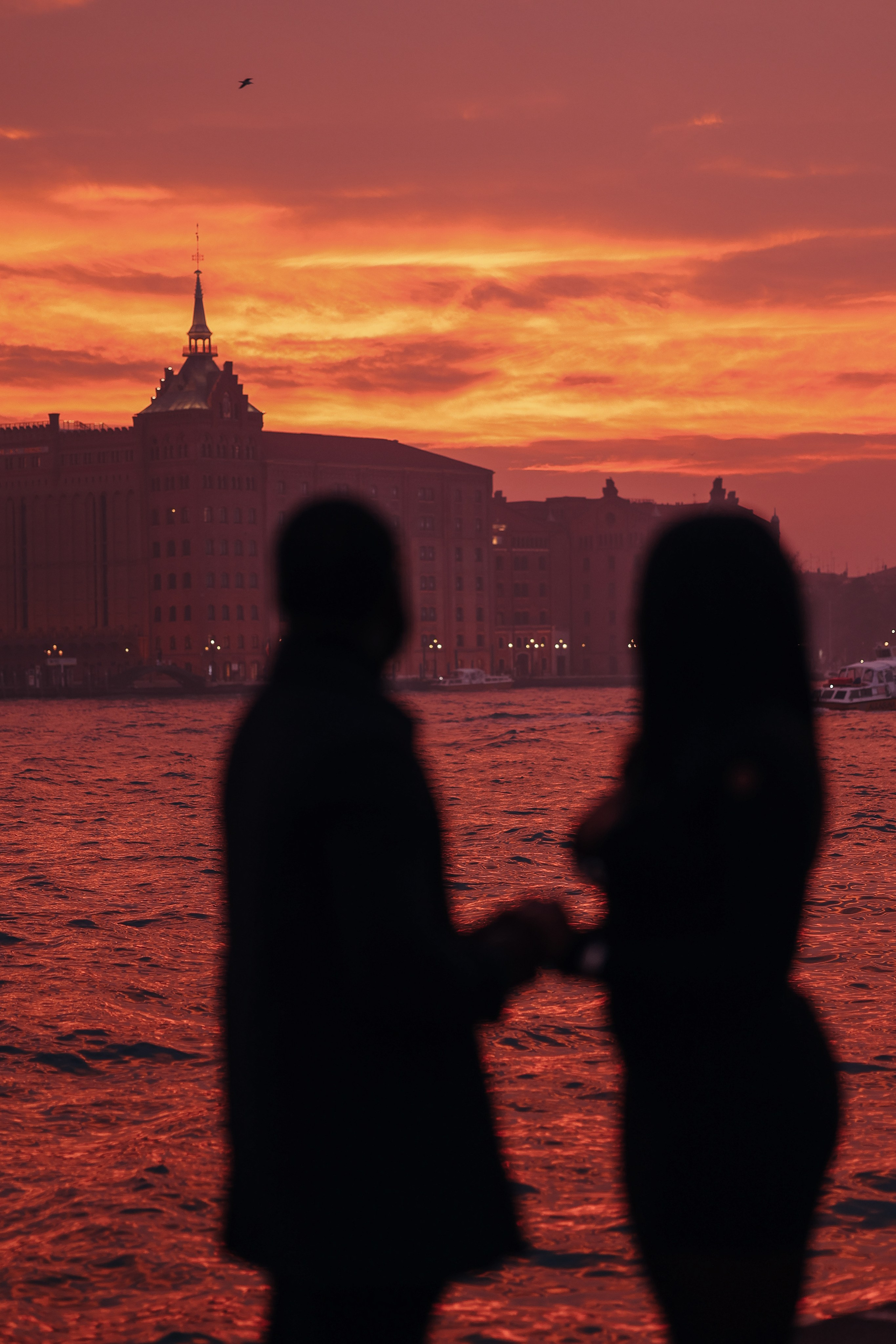 Surprise proposal in Venice. Photographer in Venice, Viktoria Antonova