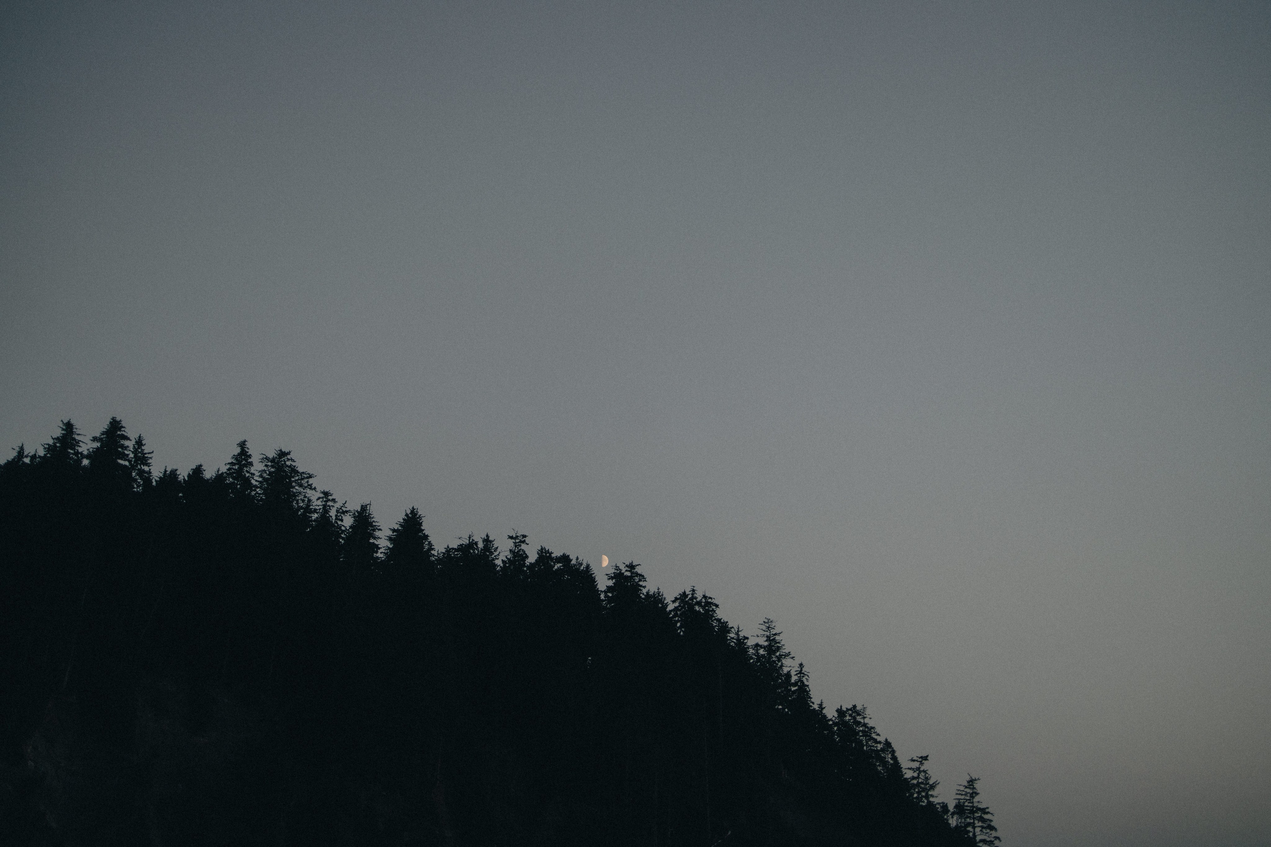 Engagement Photography at Cannon Beach | Jessie & Isaac's Session by Georgy Shishkin | Capturing Moments in Portland, Seattle, Bend & Oregon. Capturing Love in the Heart of the Pacific Northwes