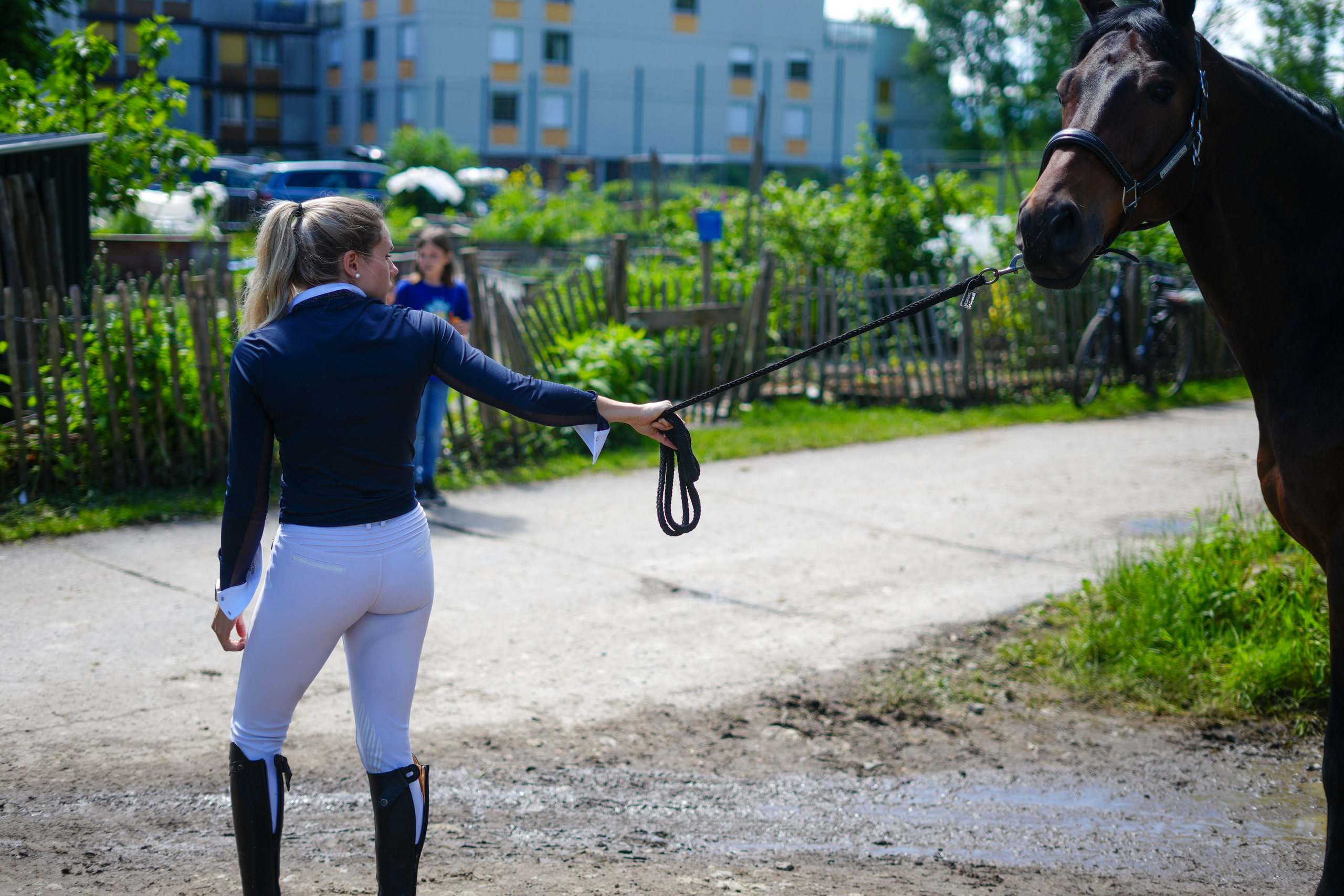 Equestrian Competition
