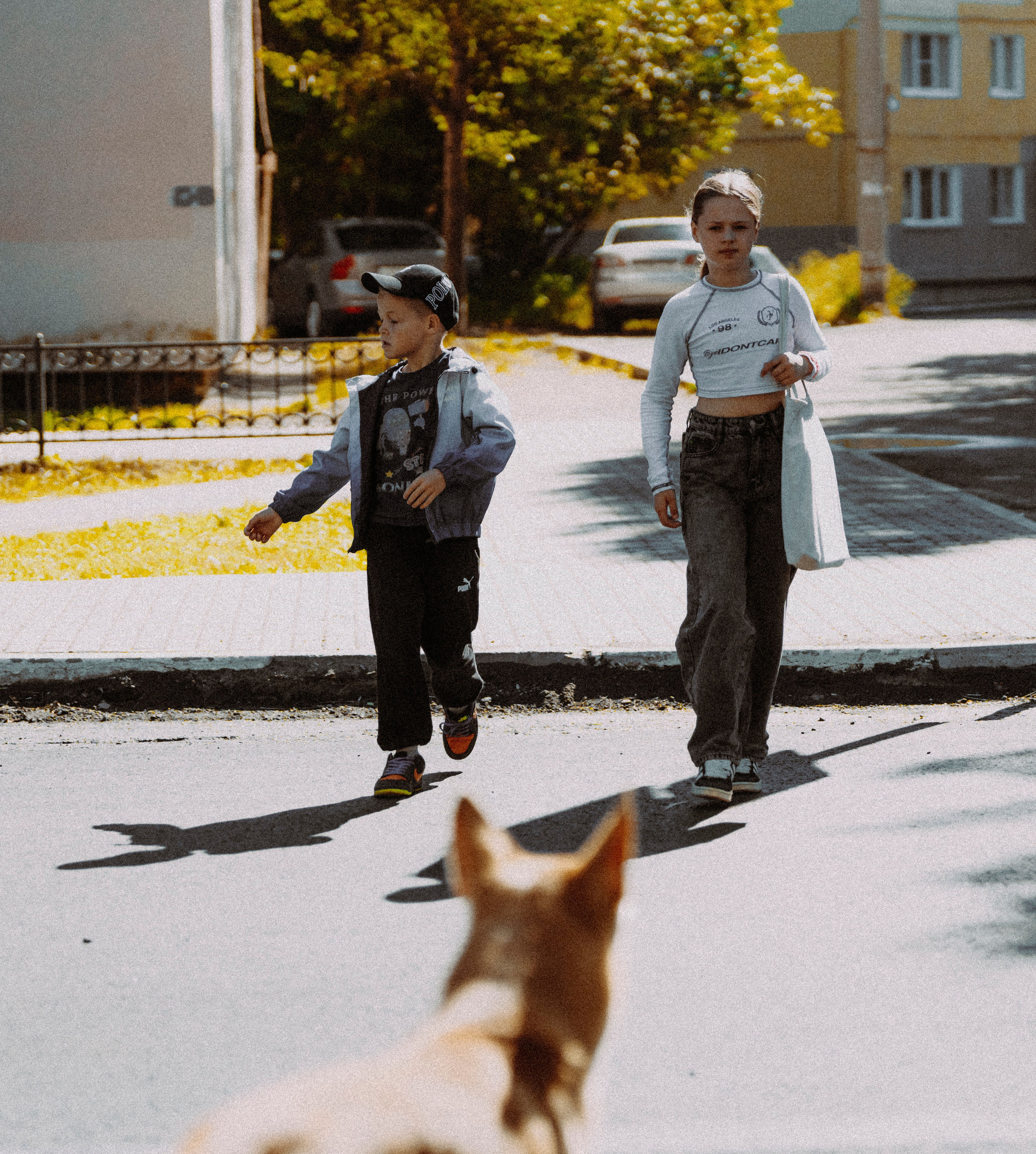 2024. Стрит-фотография, полная абсурда, идиотизма и красоты