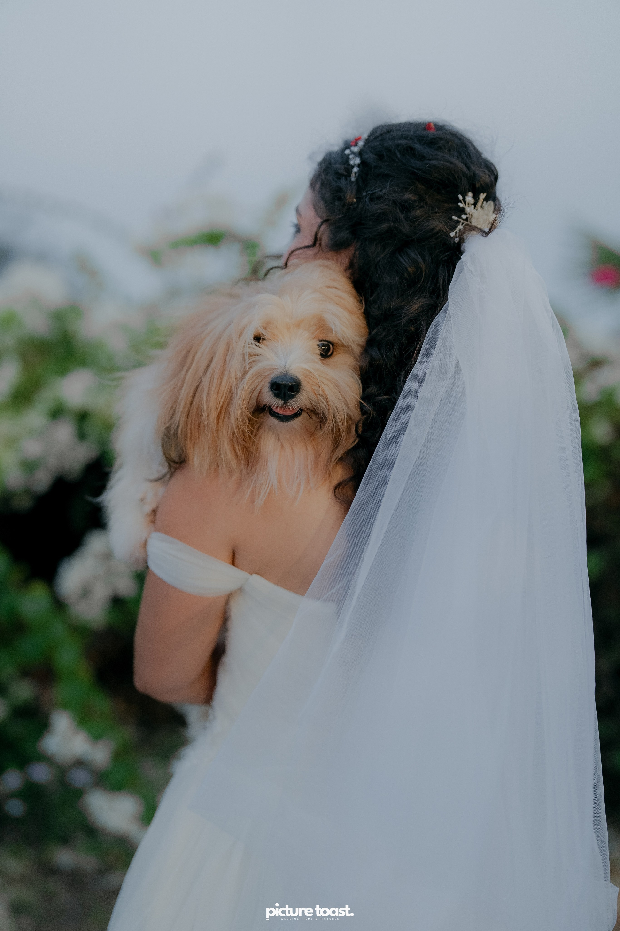 Ayesha & Adam’s English Wedding!. Fine art Wedding Photographers in India & Canada