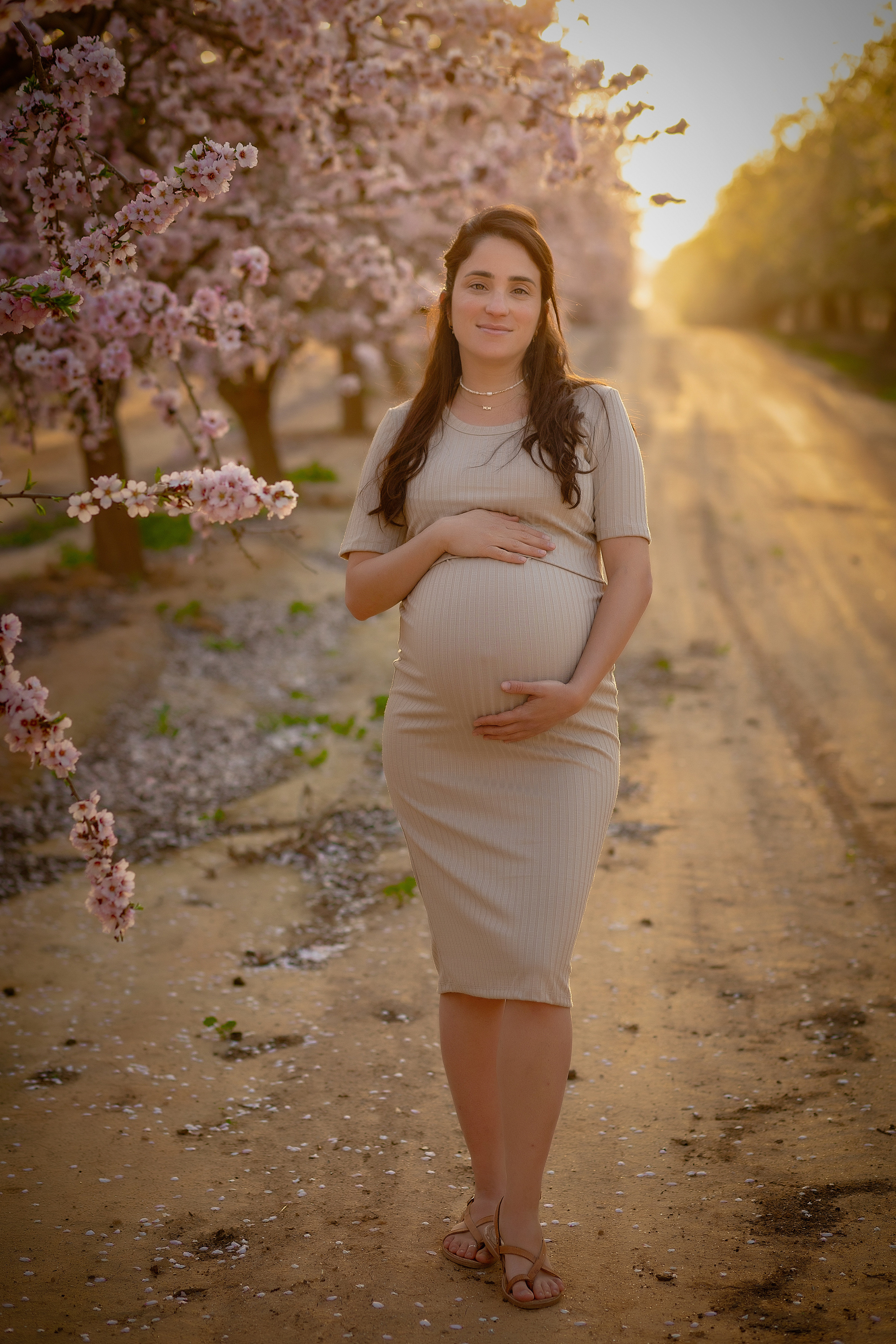 הריון. דיאנה פרידמן-צלמת משפחה וילדים בישראל