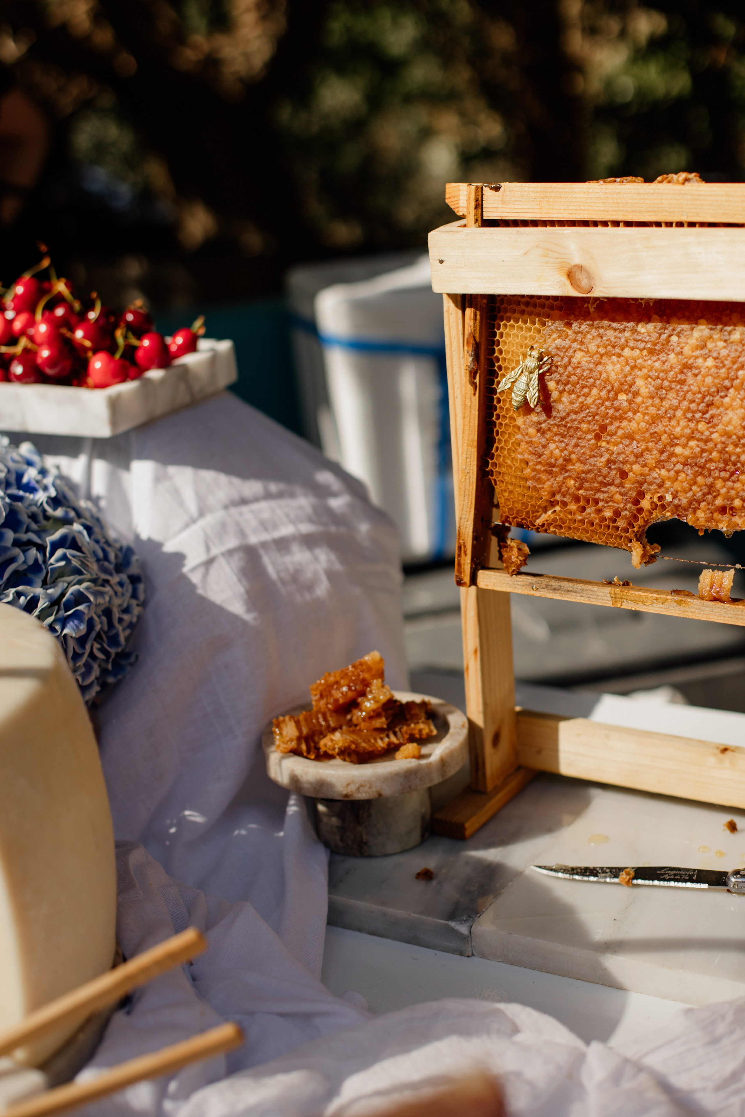 Payabl. Summer Party. Family and business portrait’s photographer in Cyprus