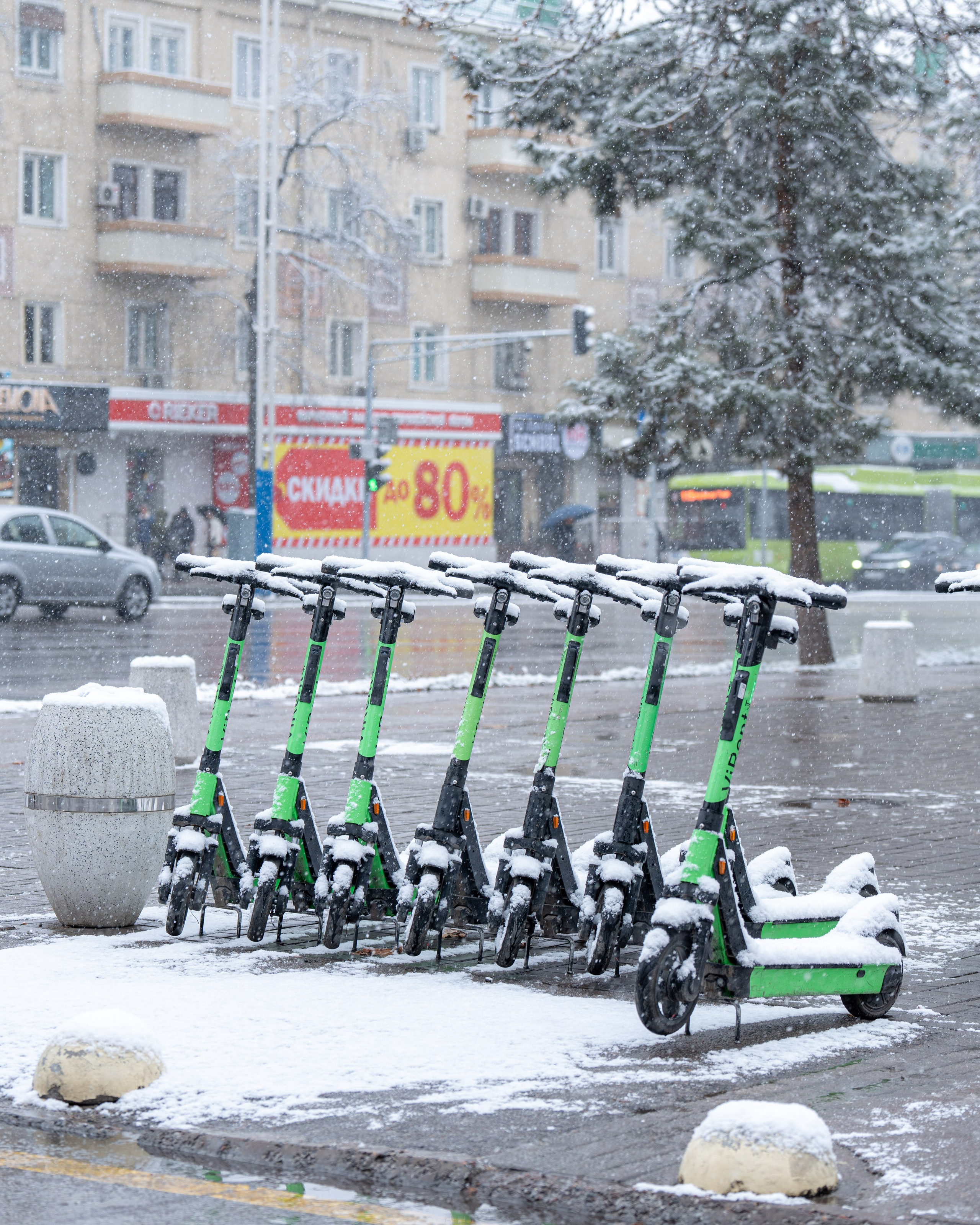 Первый снег в 2024 году. Георгий Намазов | Фотограф в Ташкенте