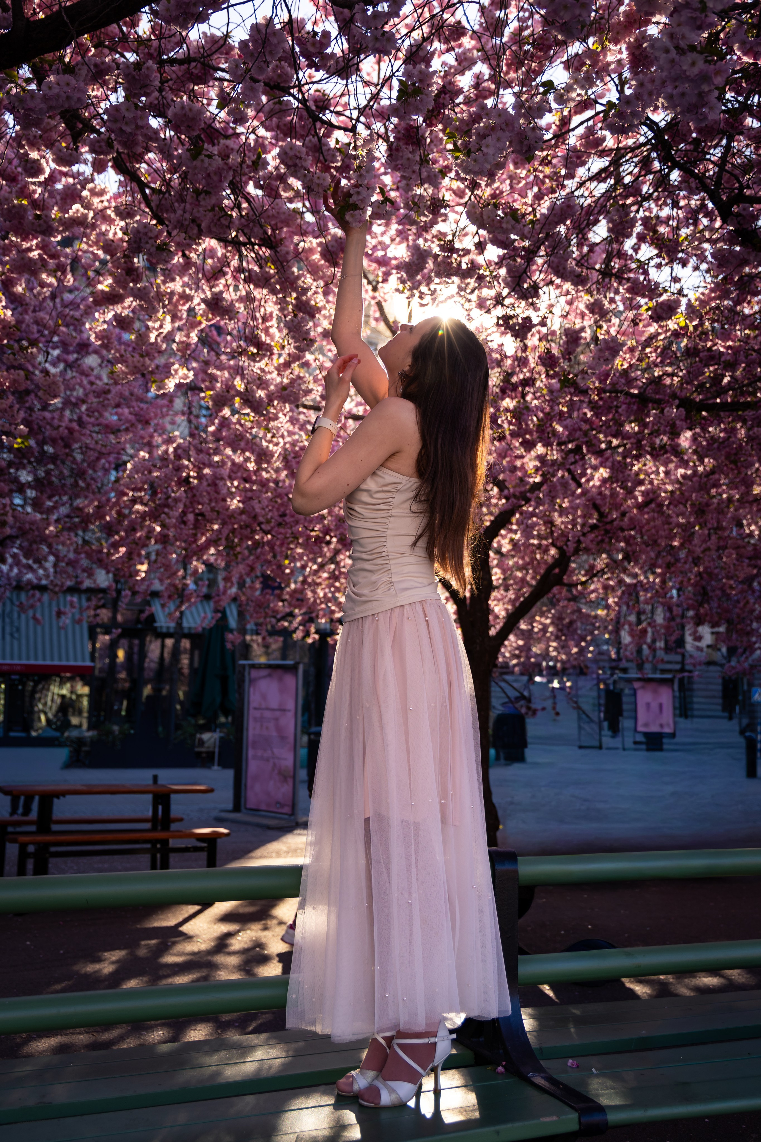 Sakura Mood. Iryna Zhyvora | Photographer | Stockholm