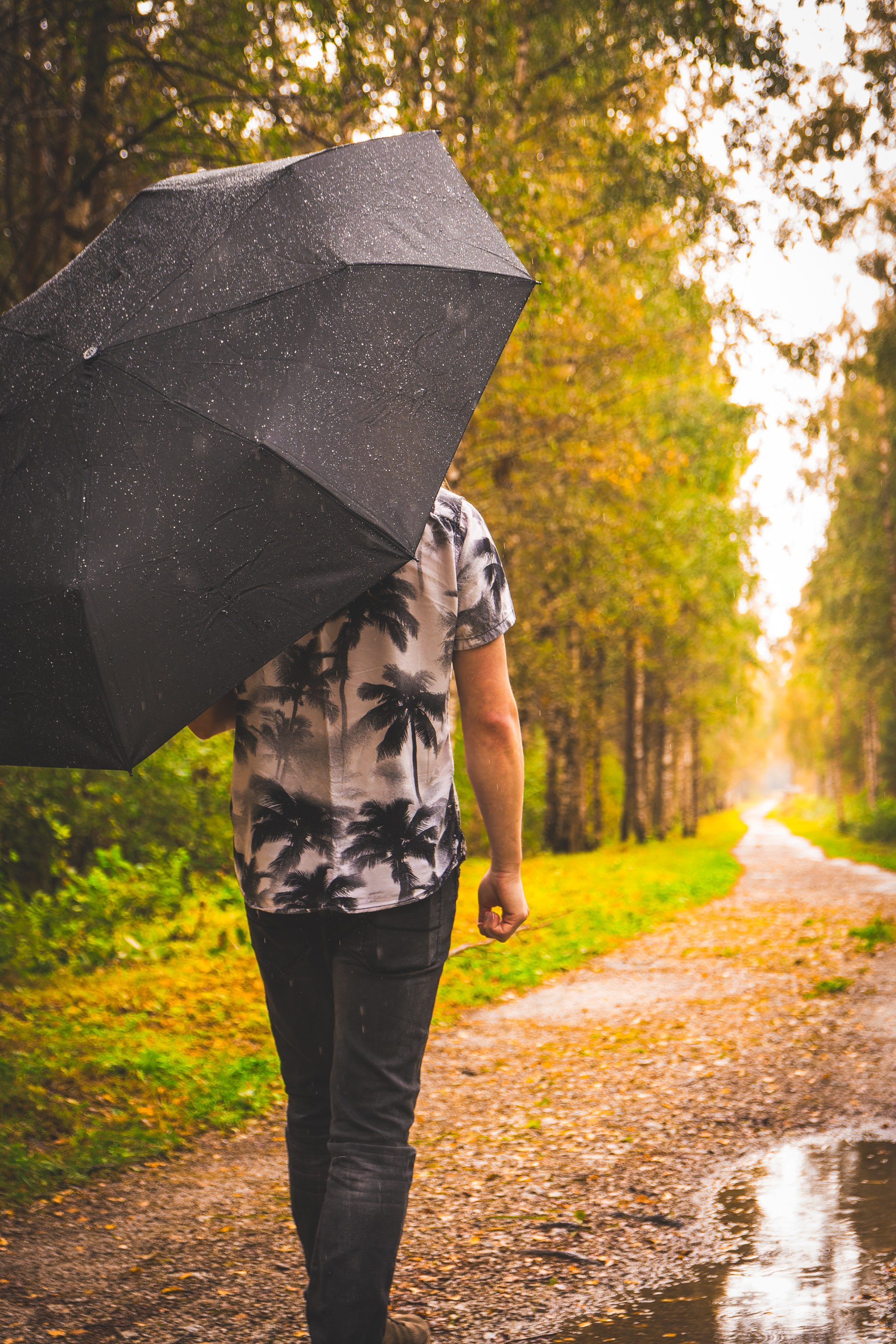Mets, vihm ja jahedus (Dimitry). Nebula 25 — Fotod teie hingele