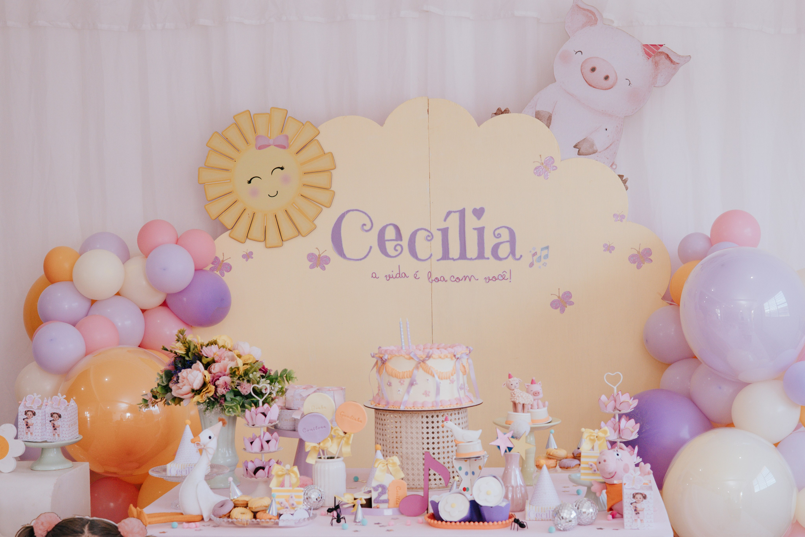 Cecília 2 anos. Fotografia de família e parto