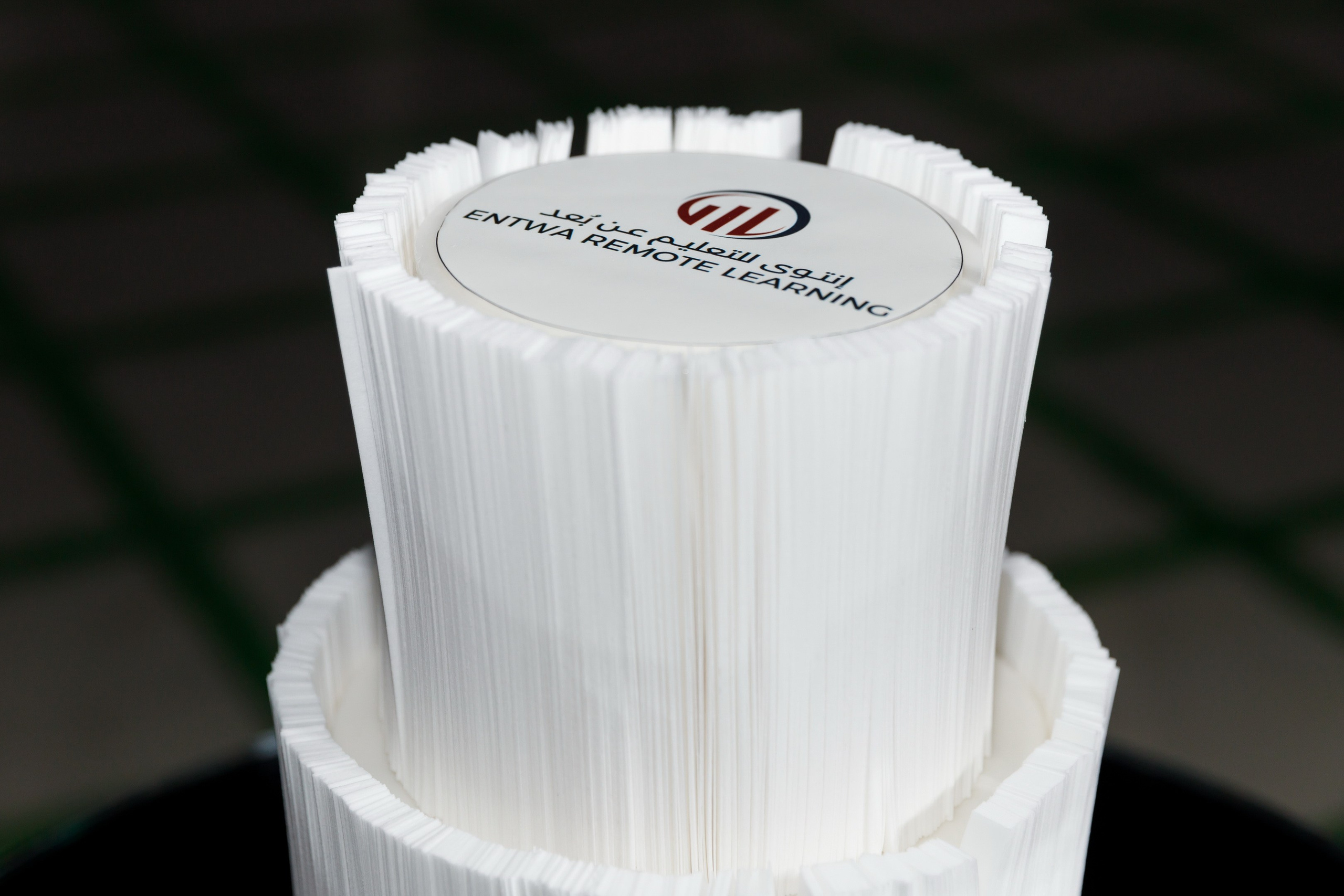 ENTWA company Anniversary — Dubai 2023. Photographer Anna Curly | Weddings and Events in Dubai