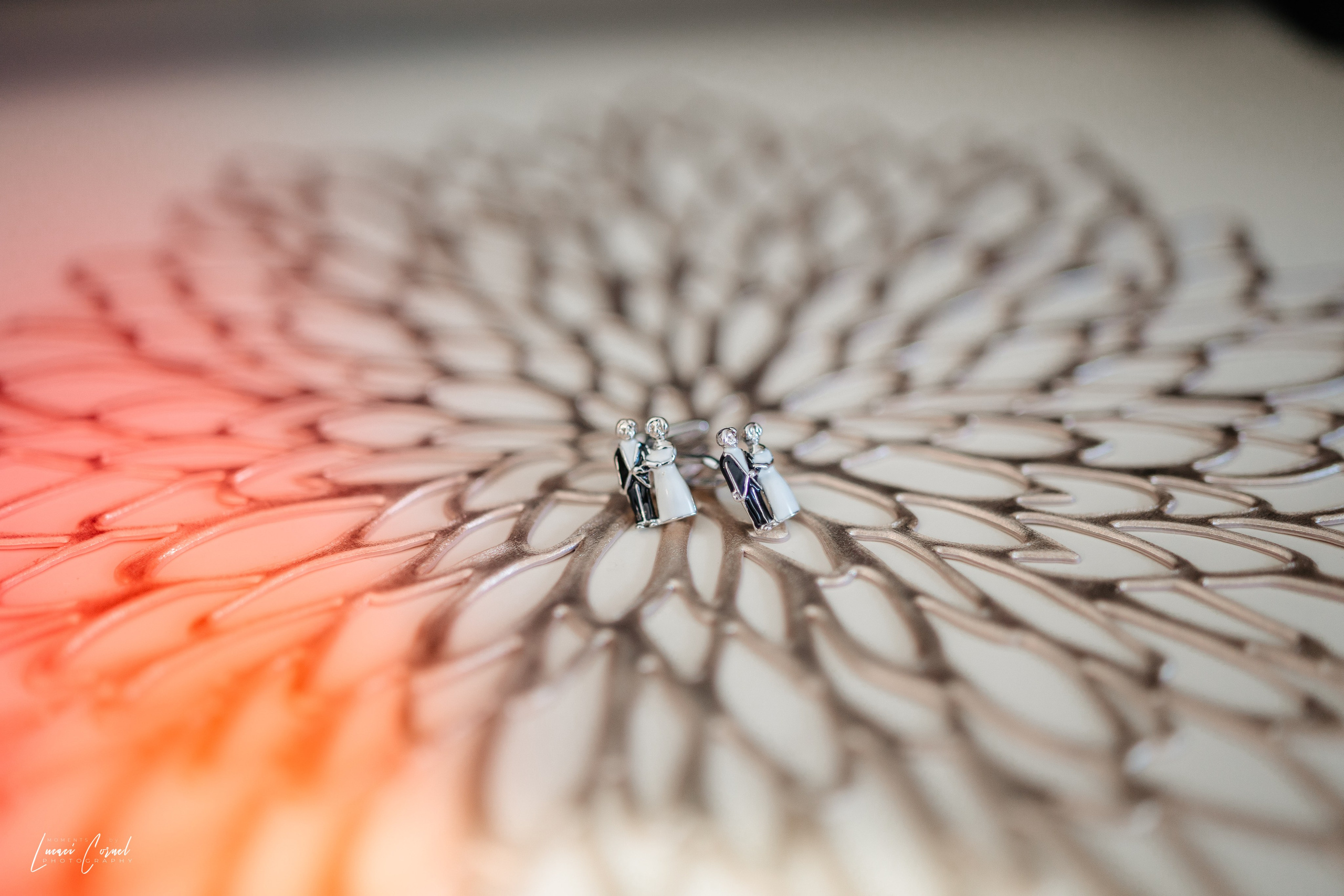 Andreea & Ștefan – Nuntă cu suflet. Fotograf de nuntă, corporate, botezuri, majorate și aniversări Roman, Lucaci Cornel