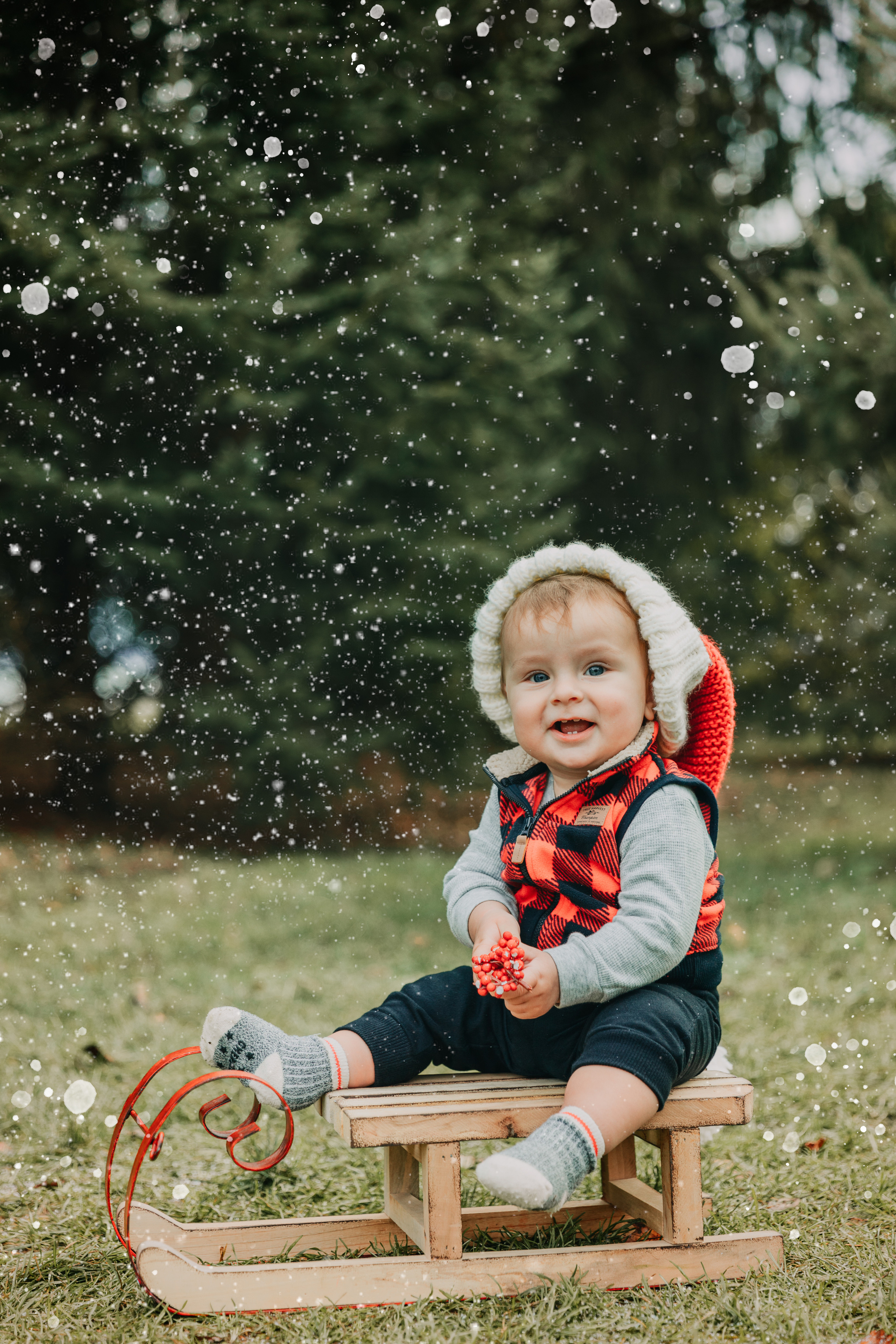 CHRISTMAS MINIS. Professional Photography in Austin, TX — Family, Newborn, Maternity