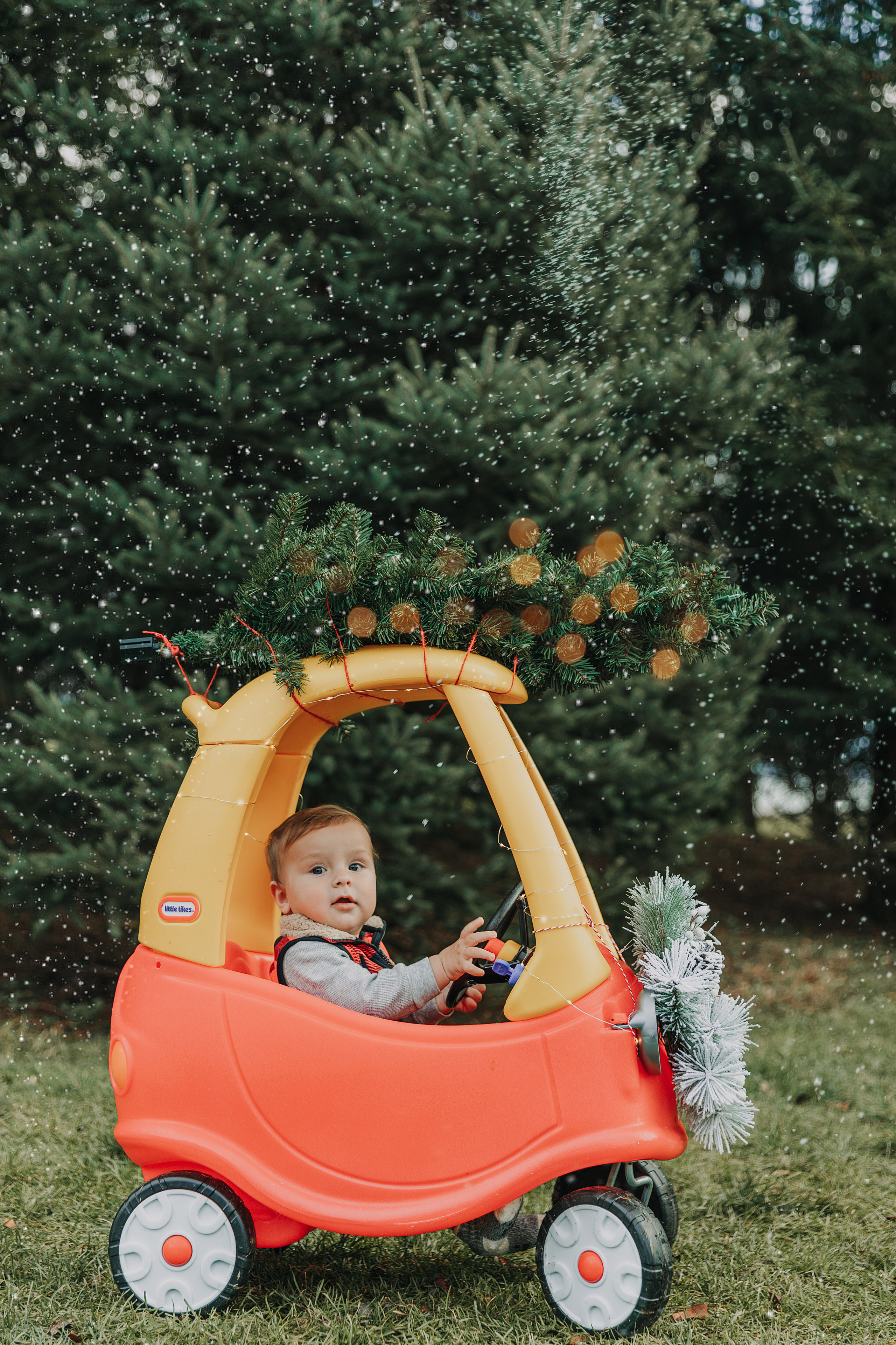 CHRISTMAS MINIS. Professional Photography in Austin, TX — Family, Newborn, Maternity