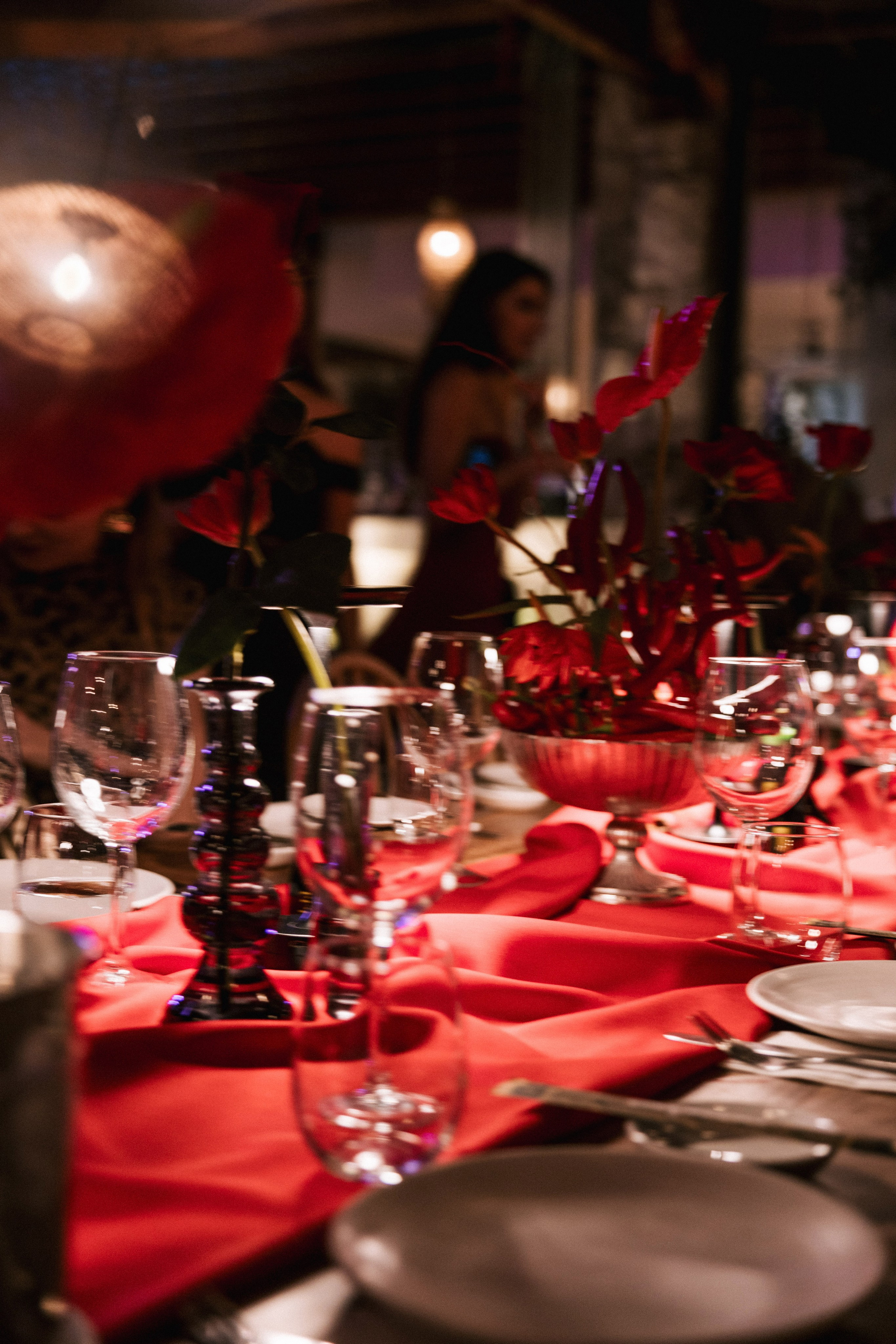 Evening/Indoor Events. Photographer Alina Sparrow