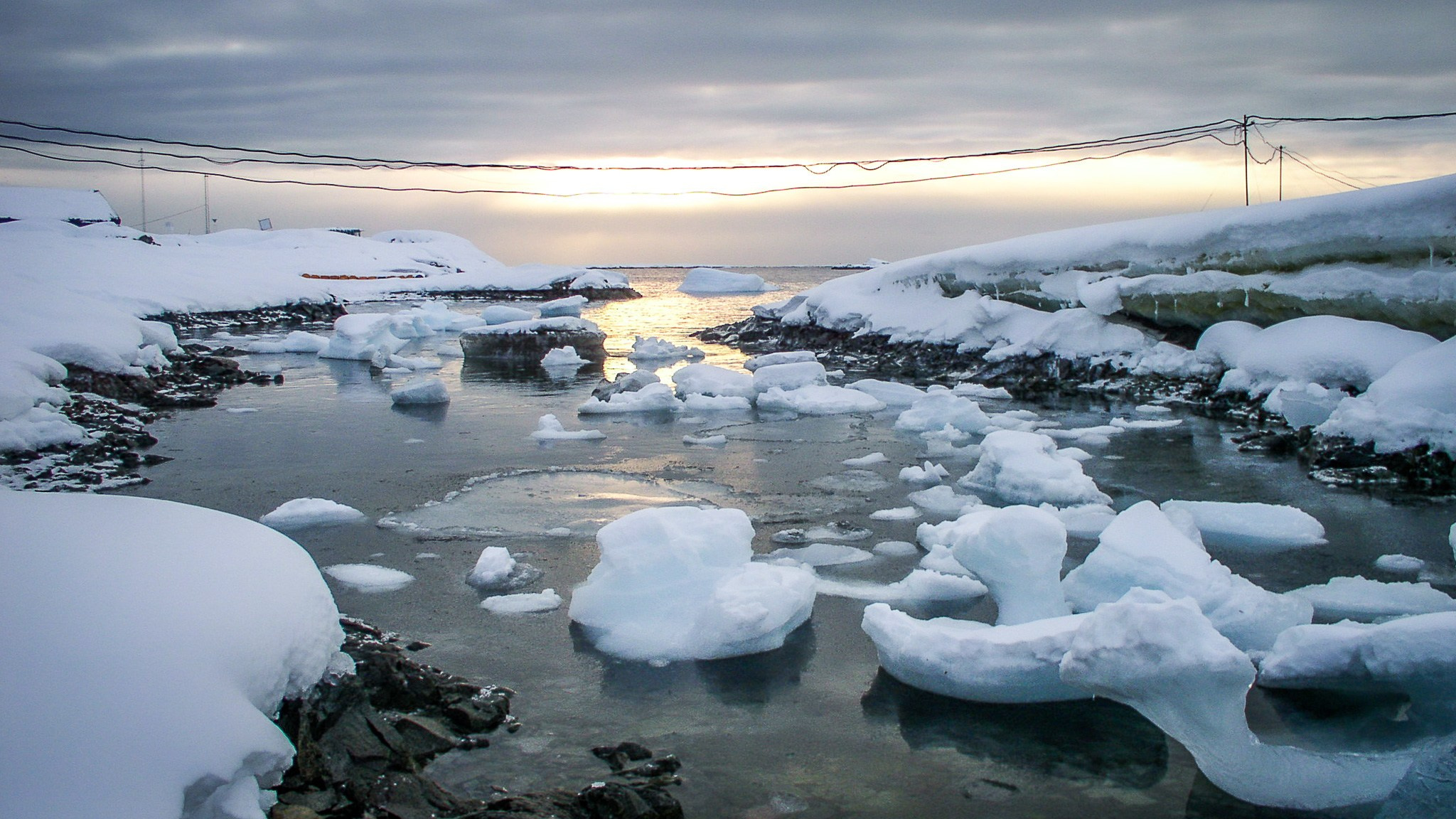 ANTARCTICA / 2004. Reportage concert portrait photography in the San Francisco Bay Area