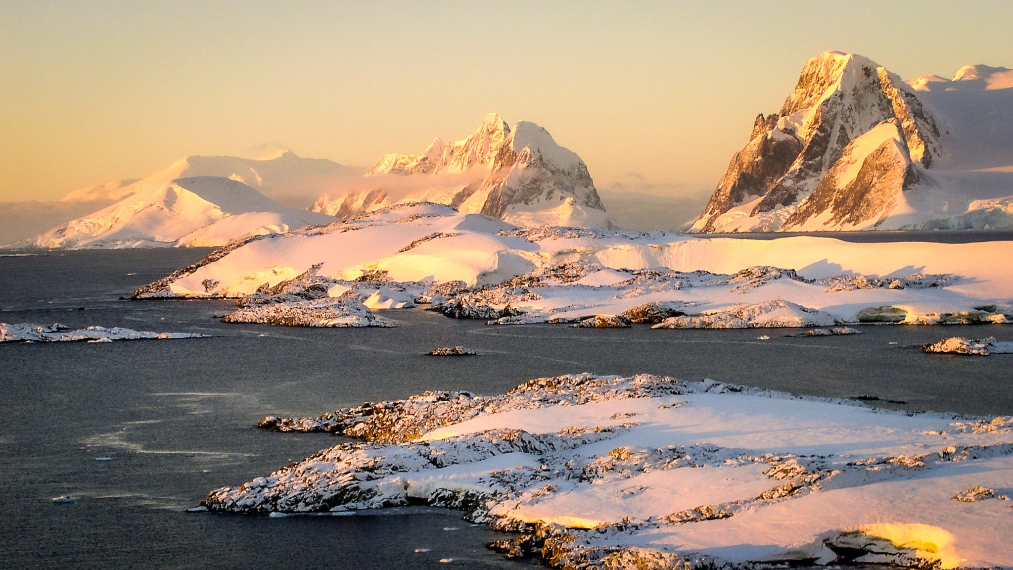 ANTARCTICA / 2004. Reportage concert portrait photography in the San Francisco Bay Area