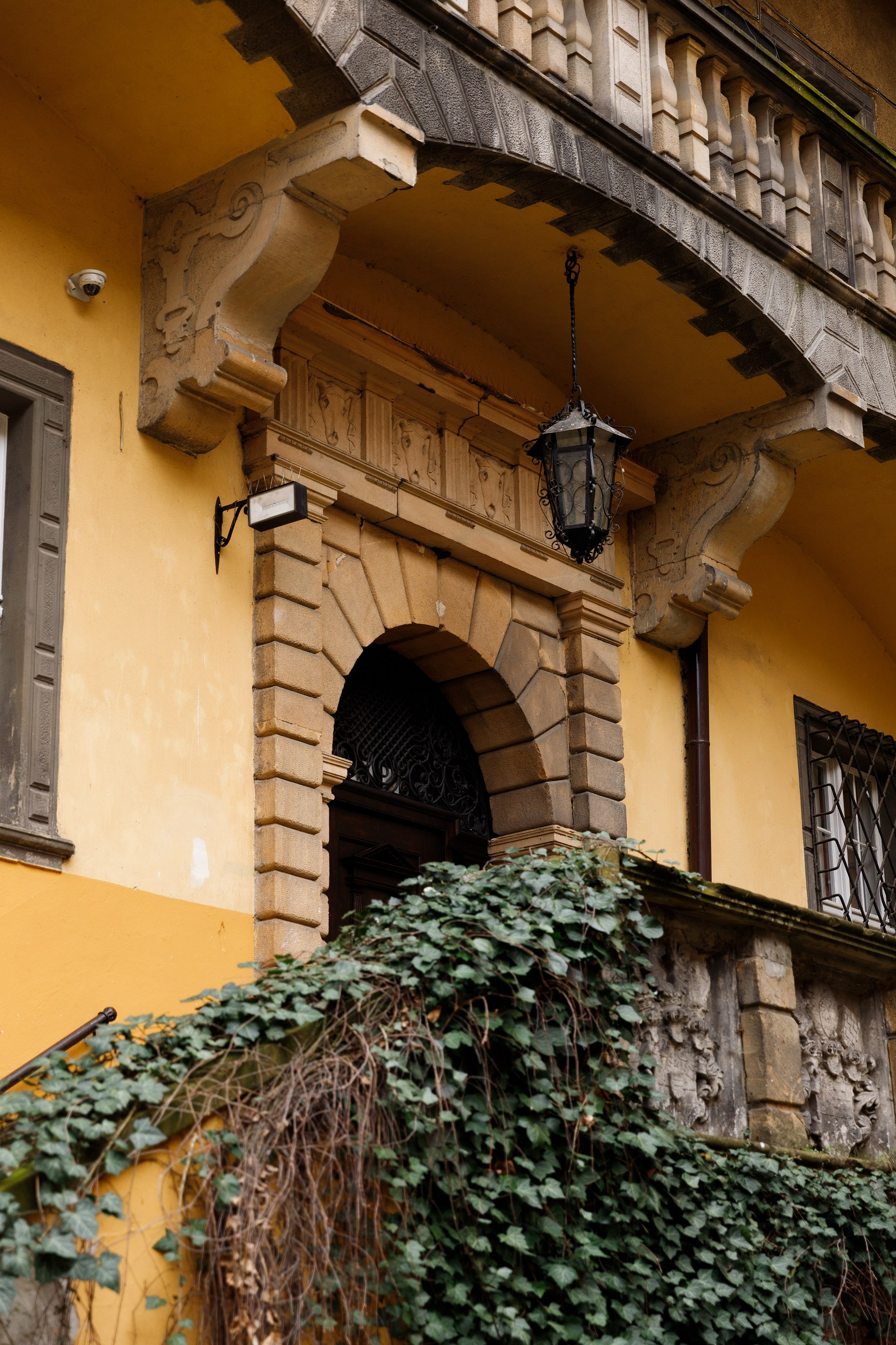 Oleśnica castle. Kaja | fotograf psów we Wrocławiu