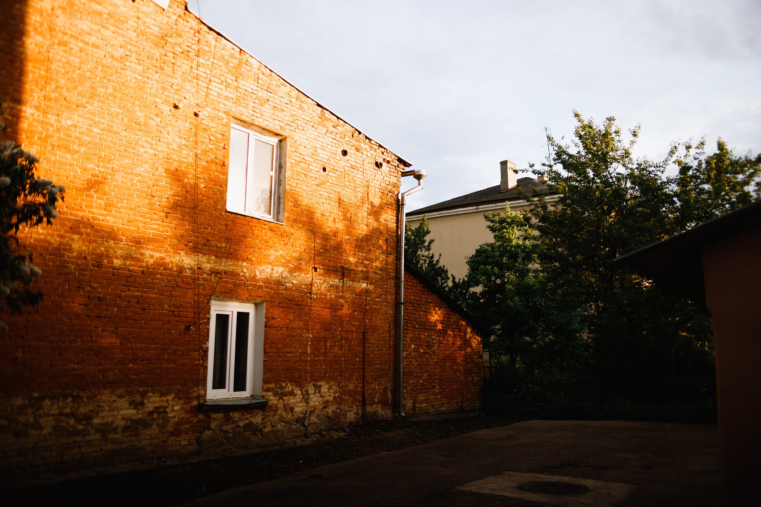 Grodno. Kaja | fotograf we Wrocławiu | ludzie i psy