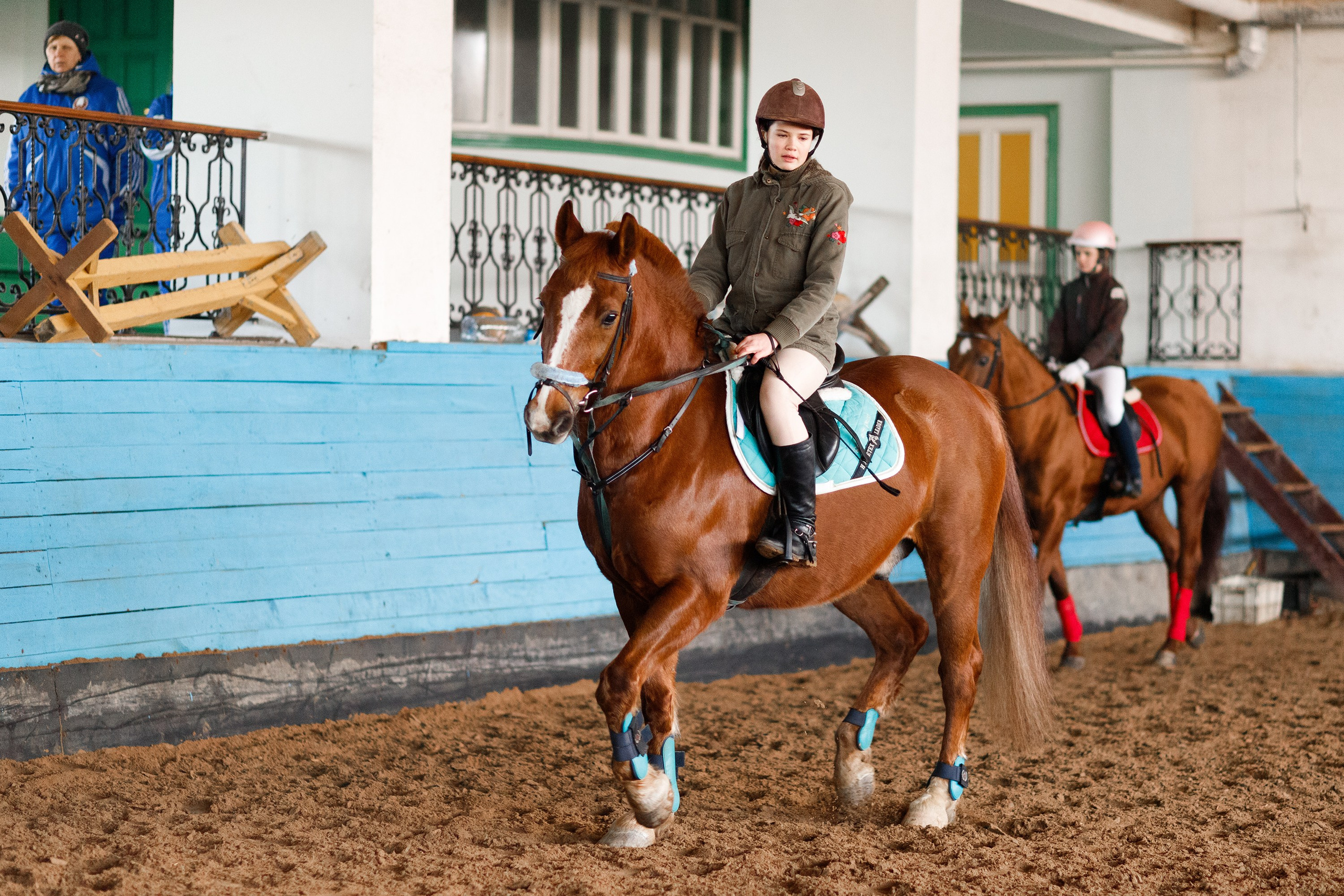 Winter show jumping in «Progress». Kaja | fotograf we Wrocławiu | ludzie i psy