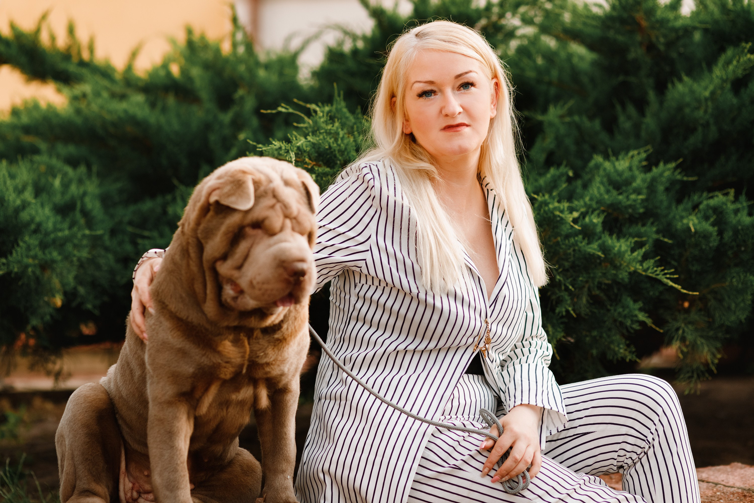 Shar pei in the city. Kaja | fotograf psów we Wrocławiu